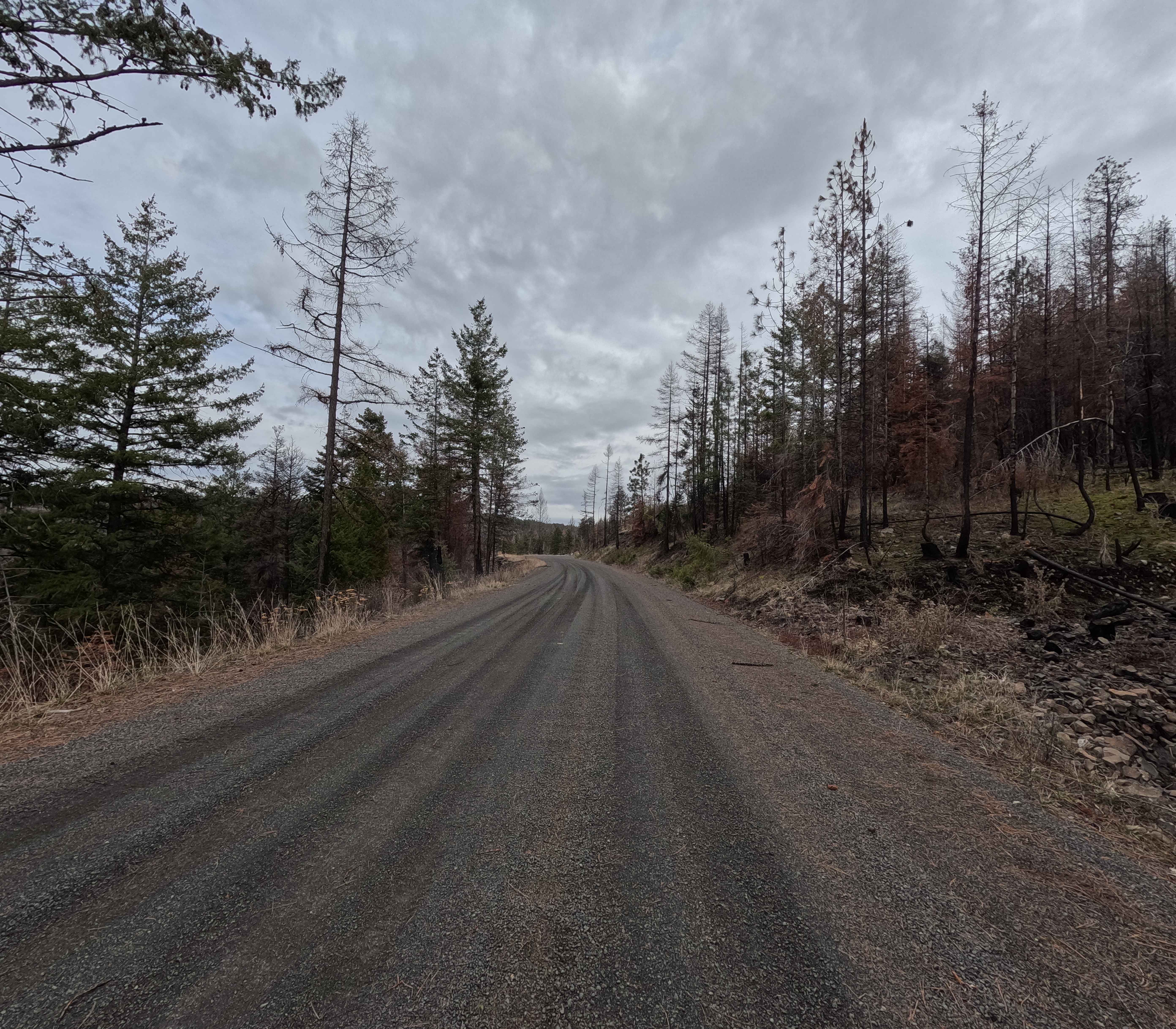 The Old Western Route - FS 21