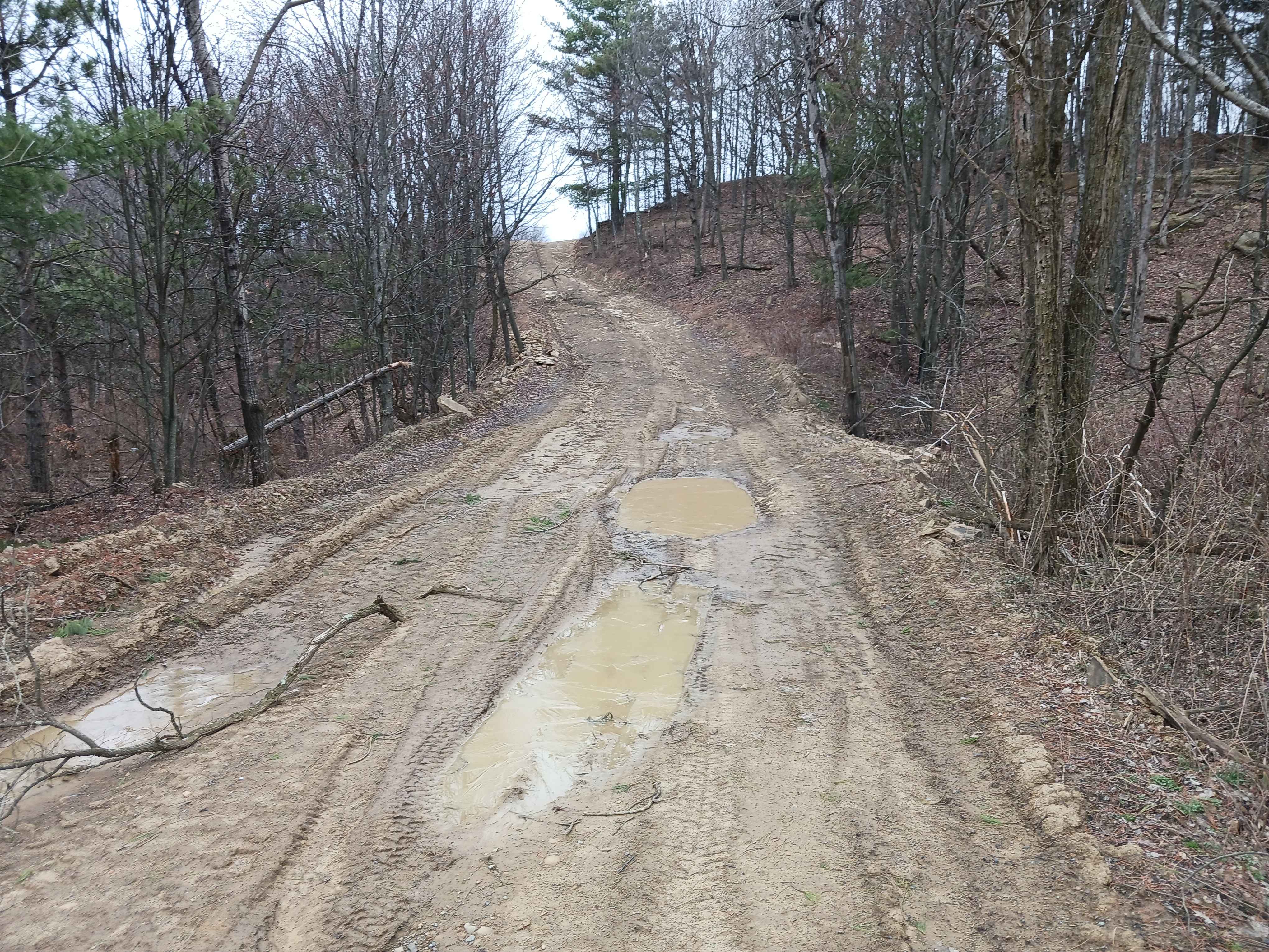 Borrow Pit Path - Rock Run Recreation Area