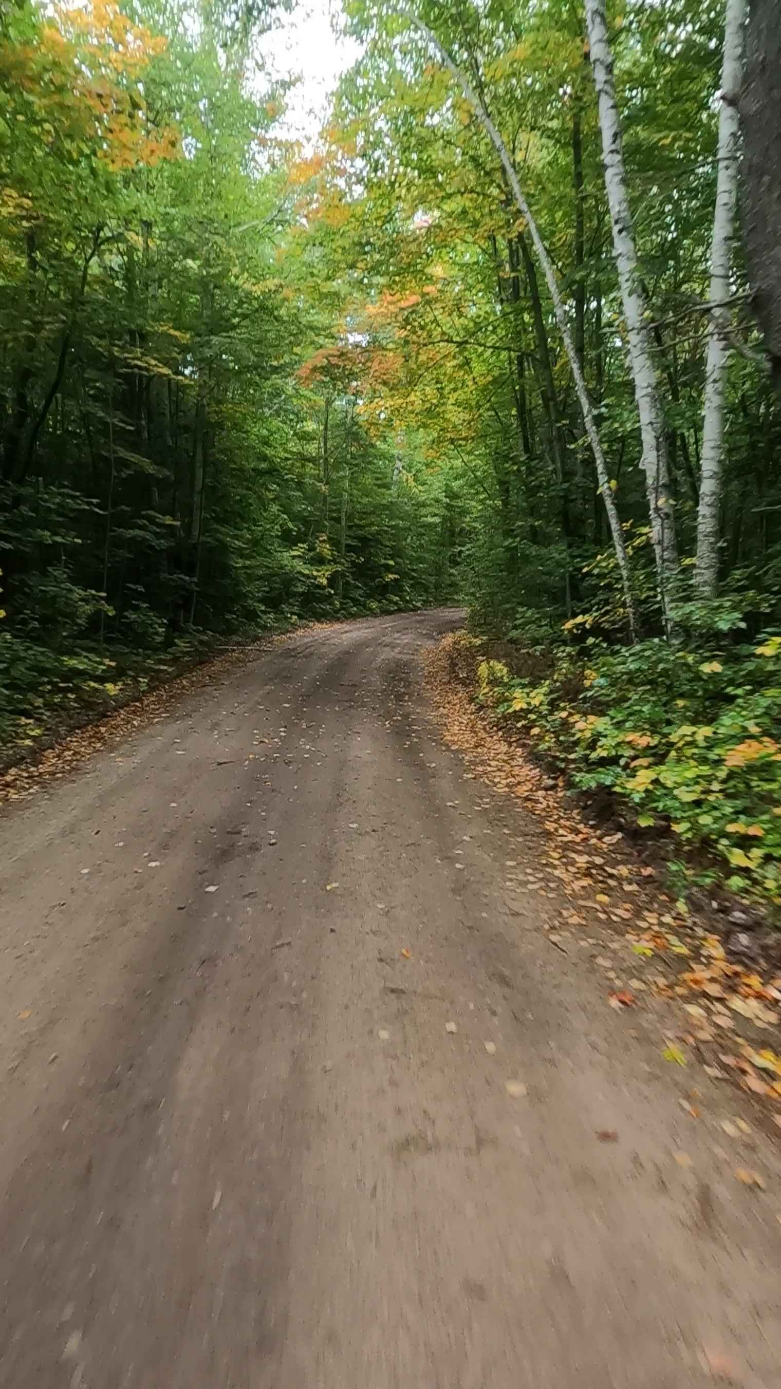 Dollar Lake Truck Trail (ORV Route A)