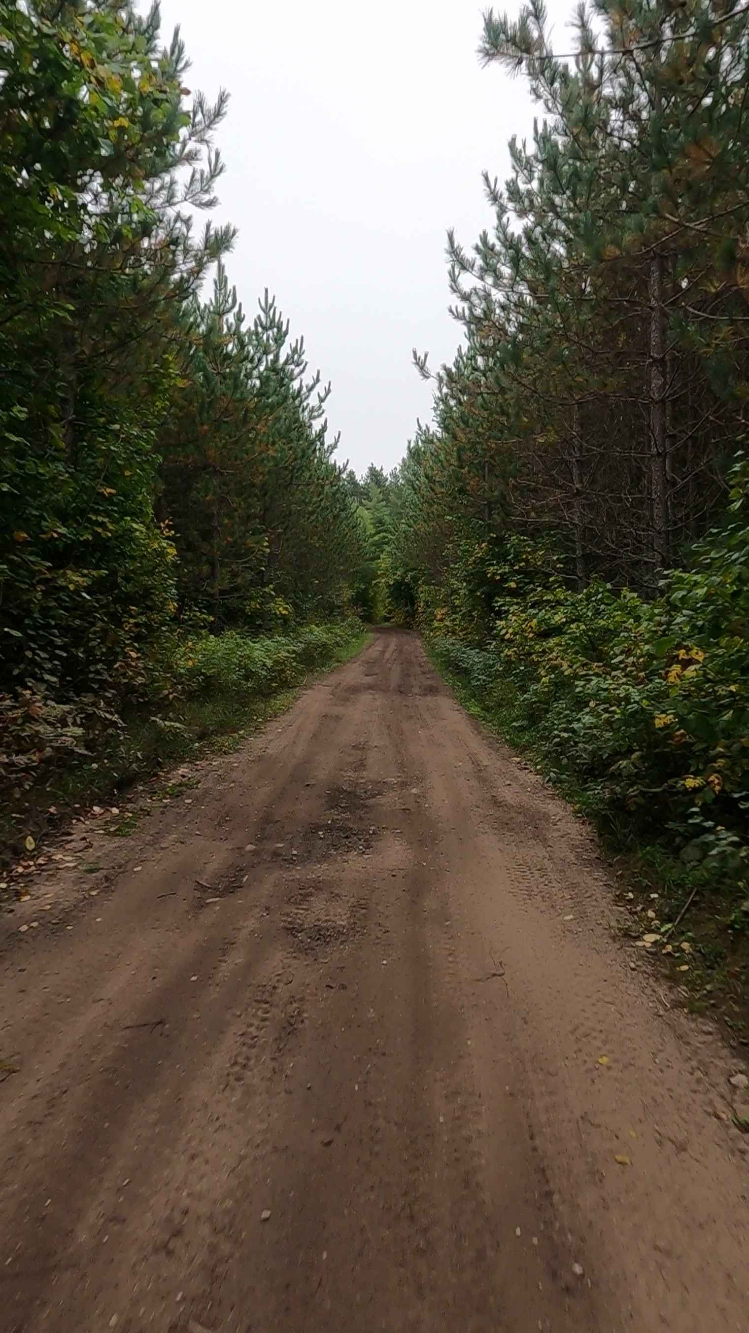 Fisher Road - FS 3005 (ORV Route Ai)