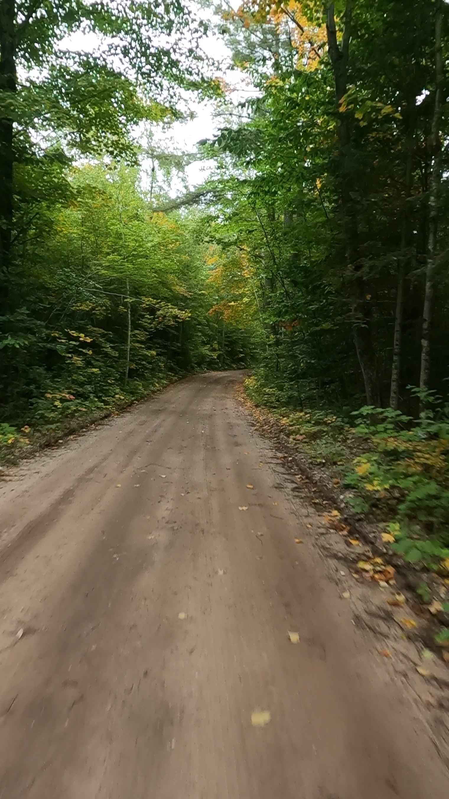 Fisher Road - FS 3005 (ORV Route Ai)