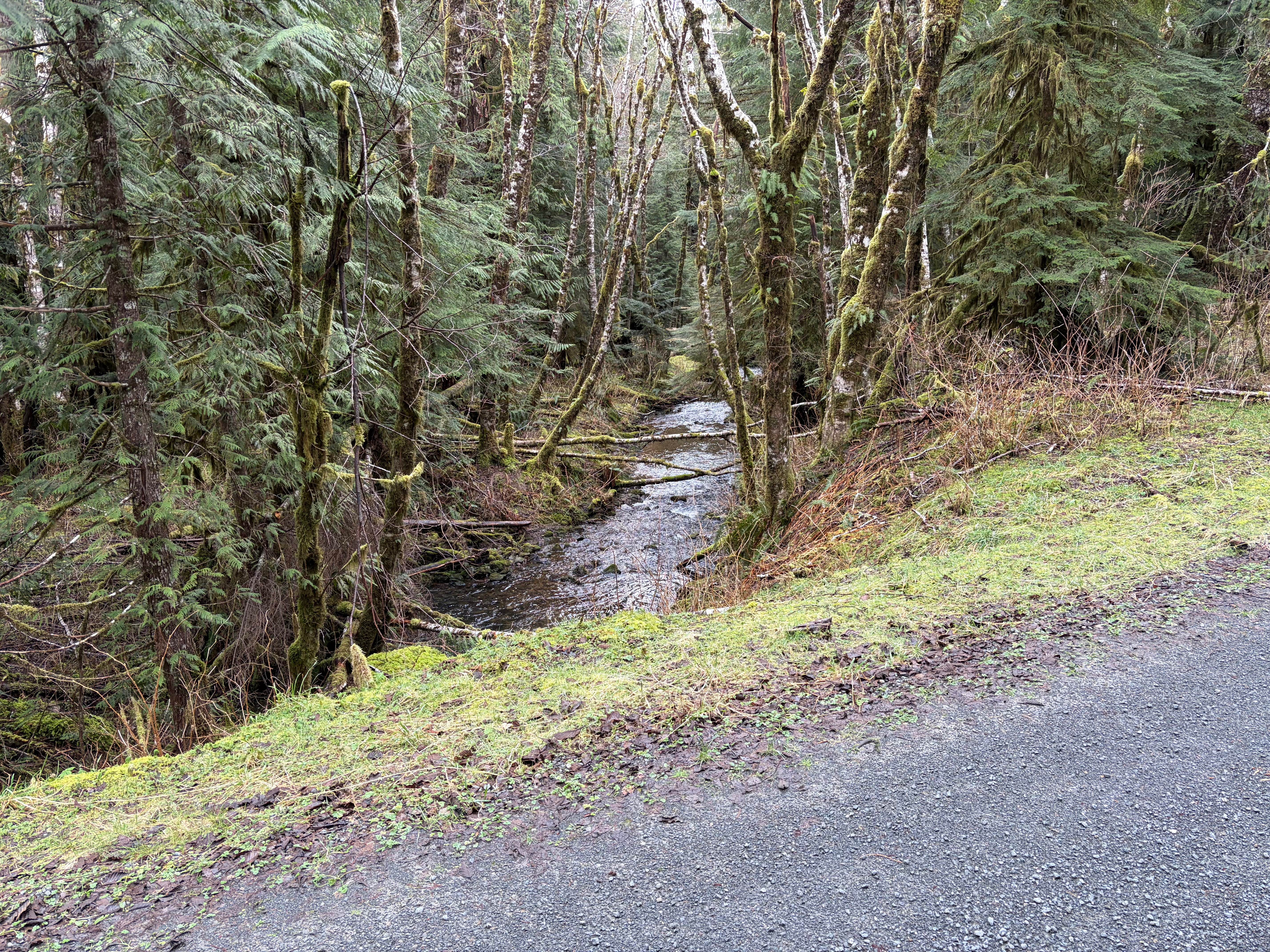 Prairie Creek - FS 2190