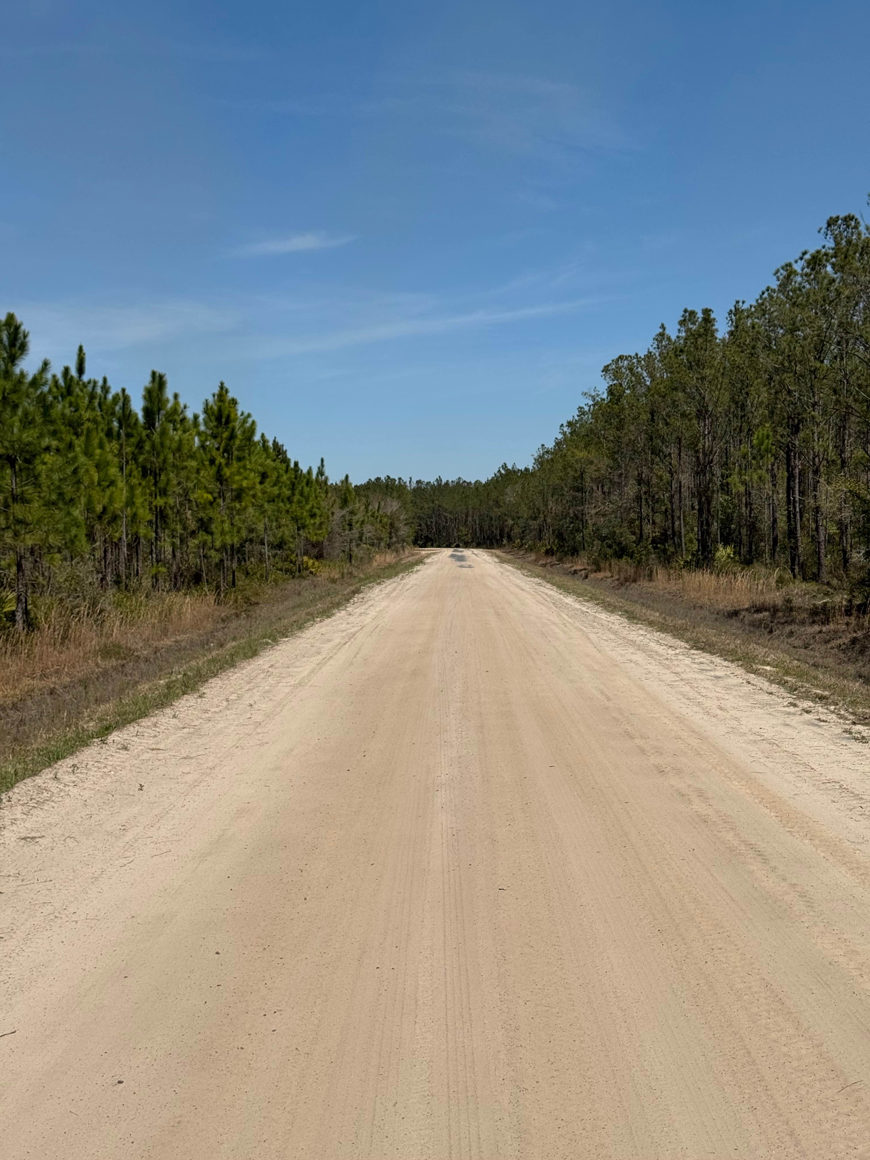 Williamsburg Landing