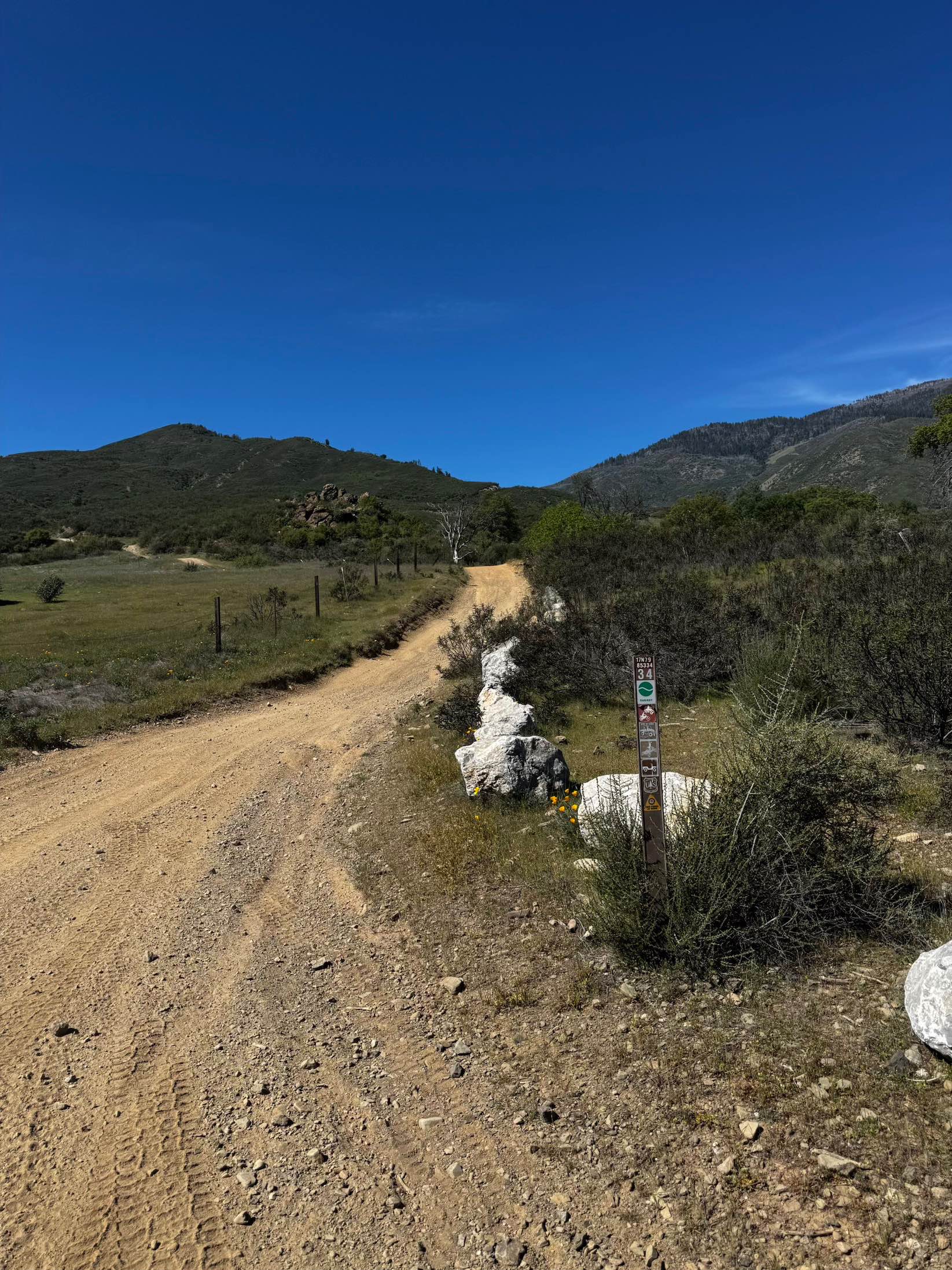 Champagne - FS 17N79