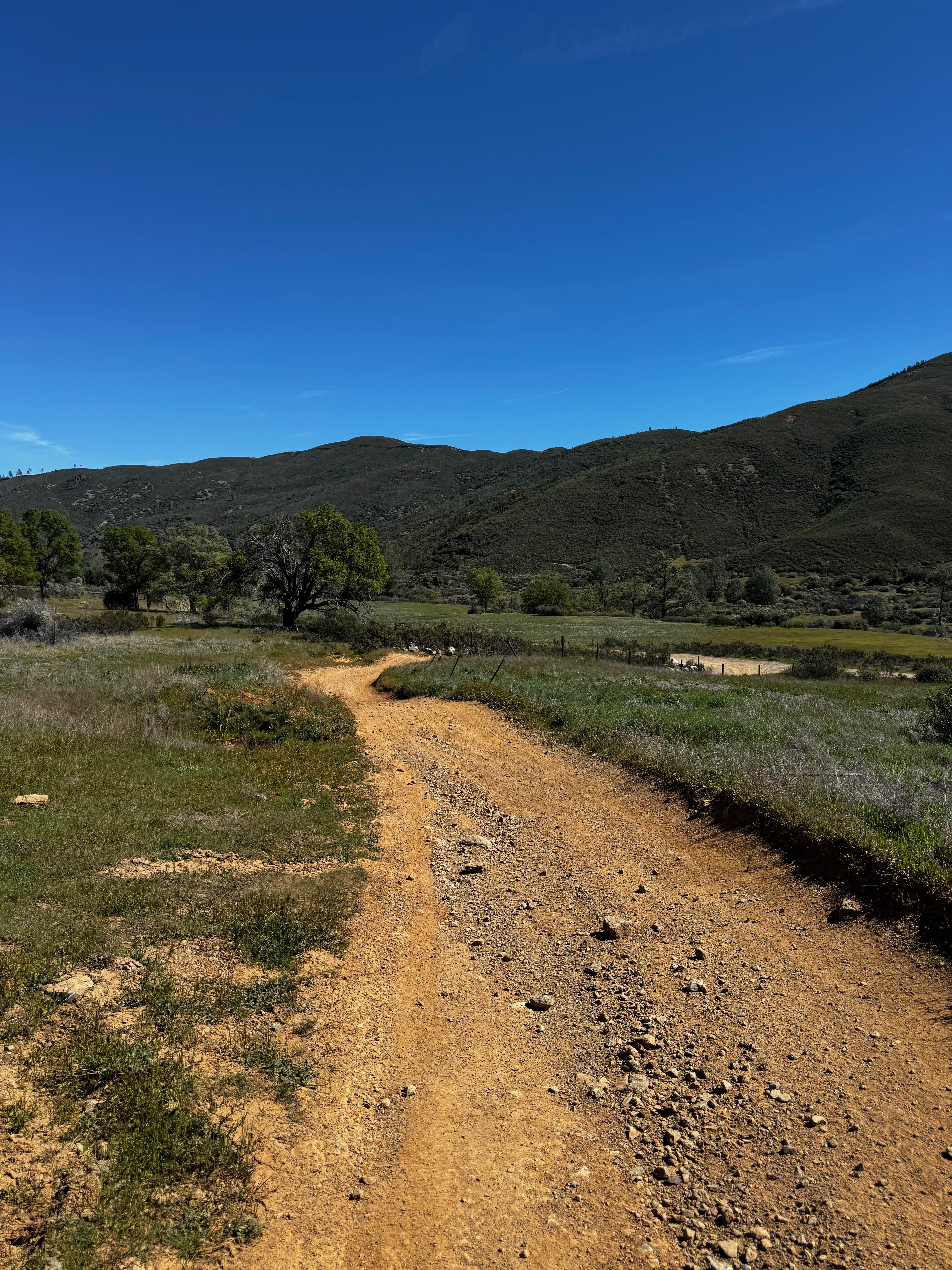 Champagne - FS 17N79