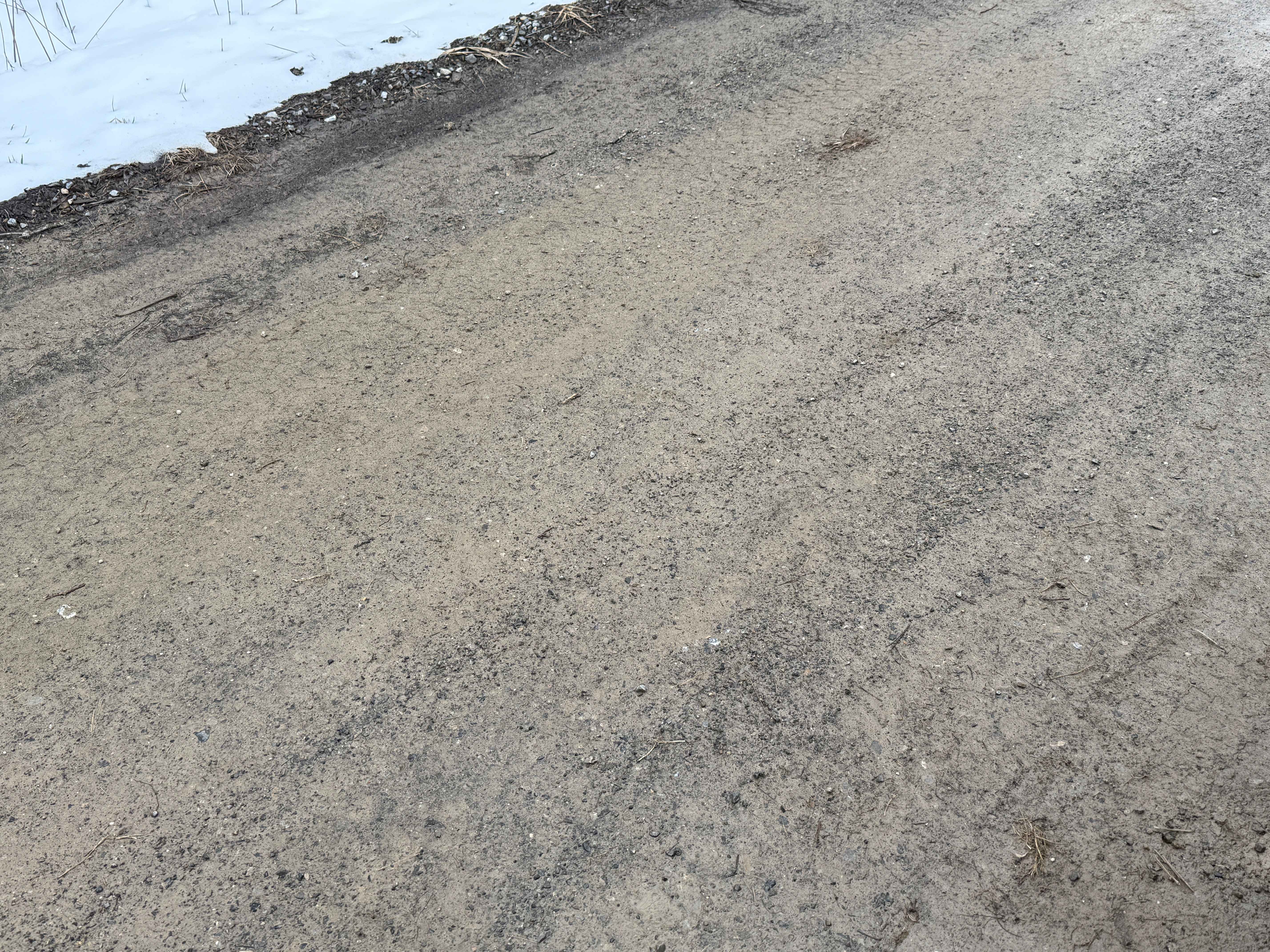 ASF #38 Lewis Bypass - FS 85314