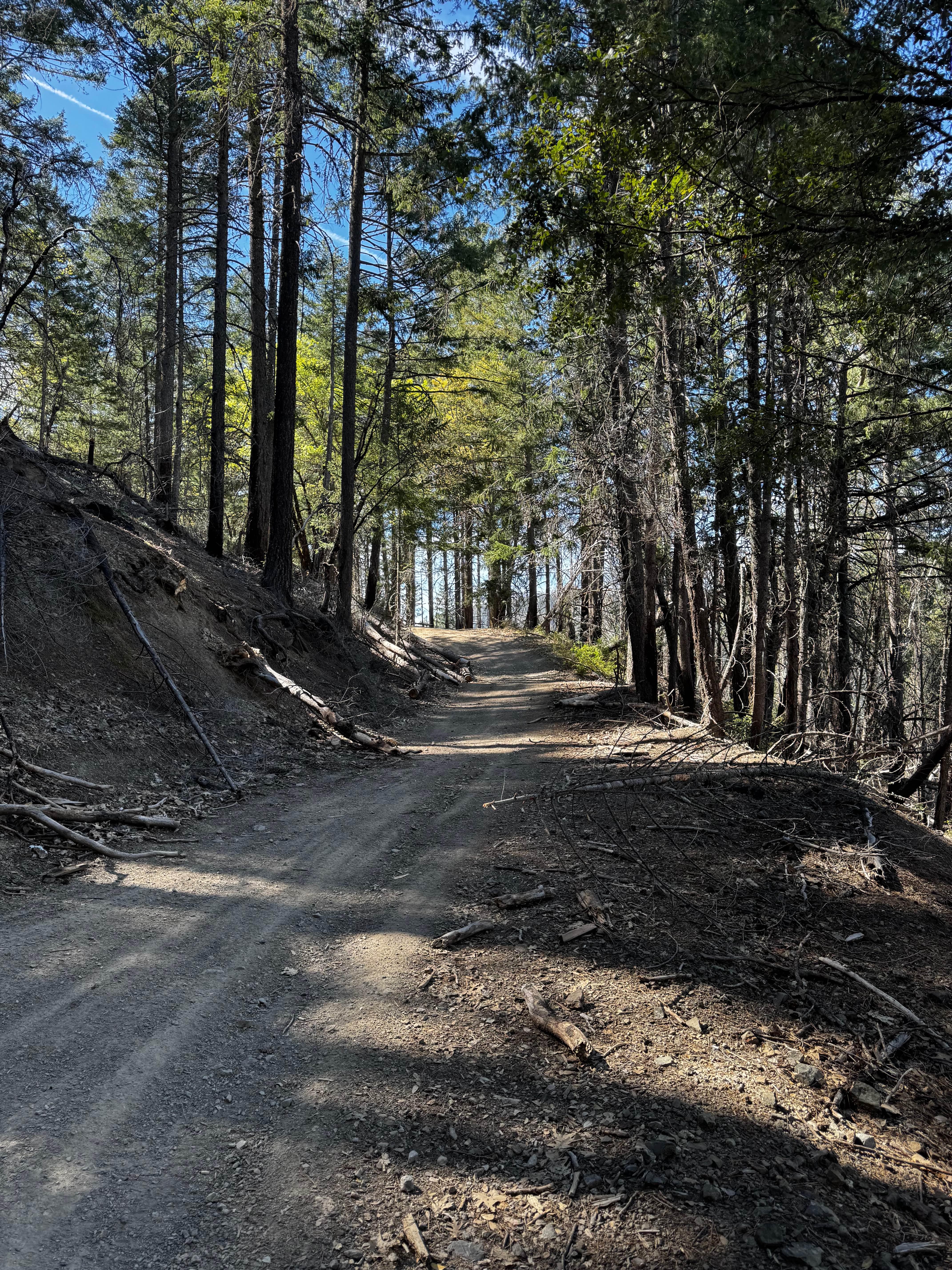 Old Letts - FS 17N12