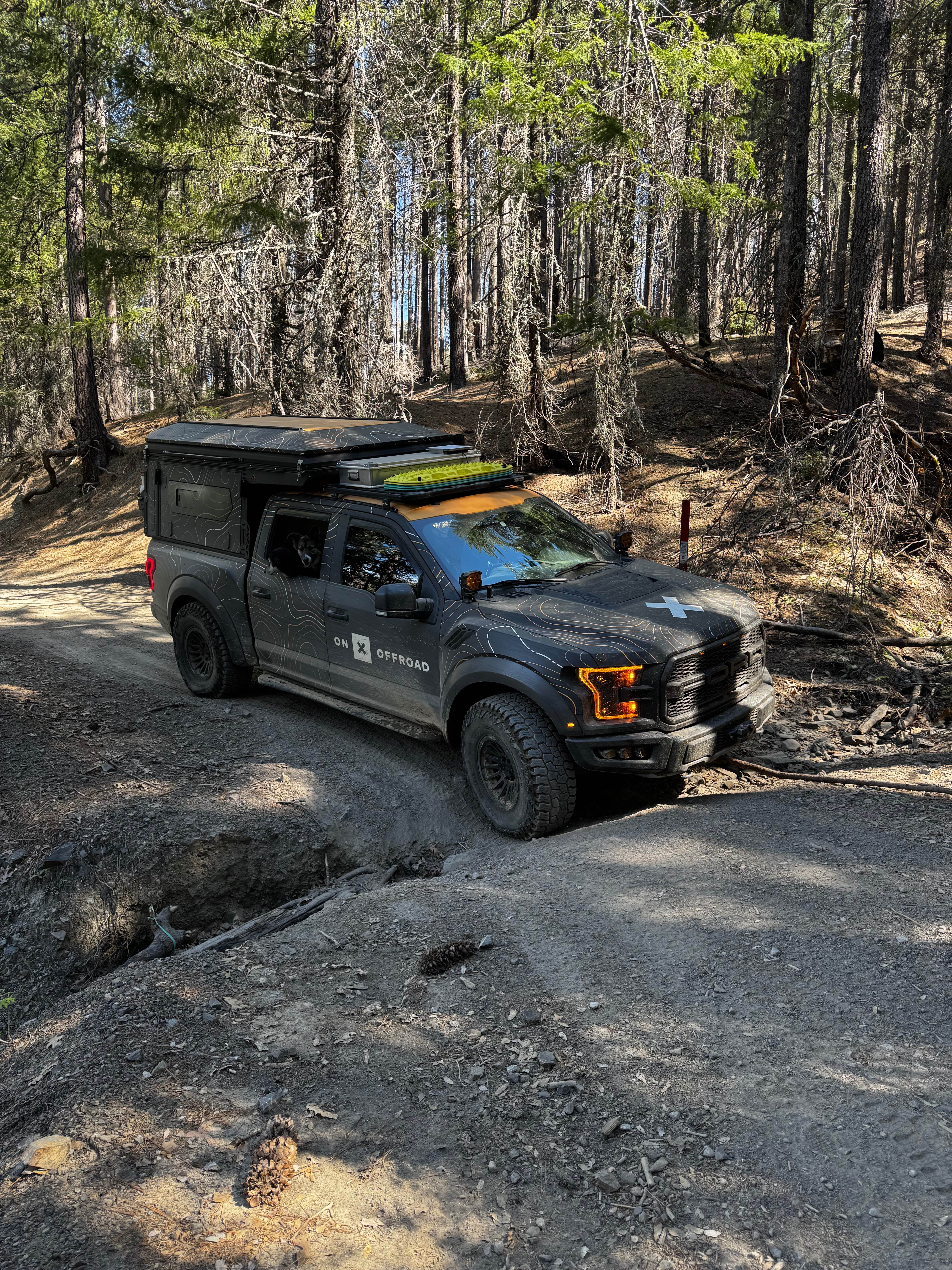 Old Letts - FS 17N12