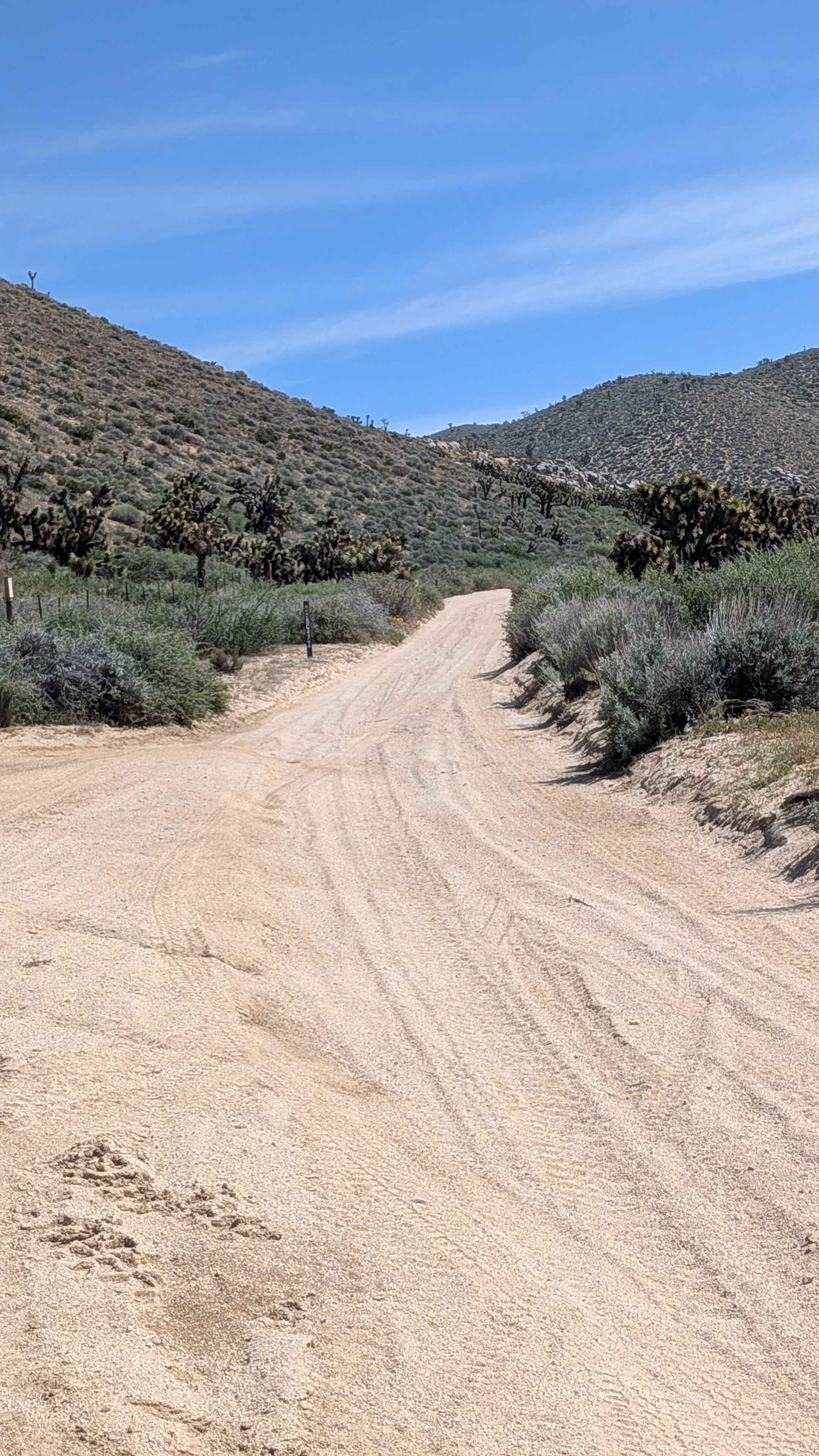 Frog Creek Road SC47