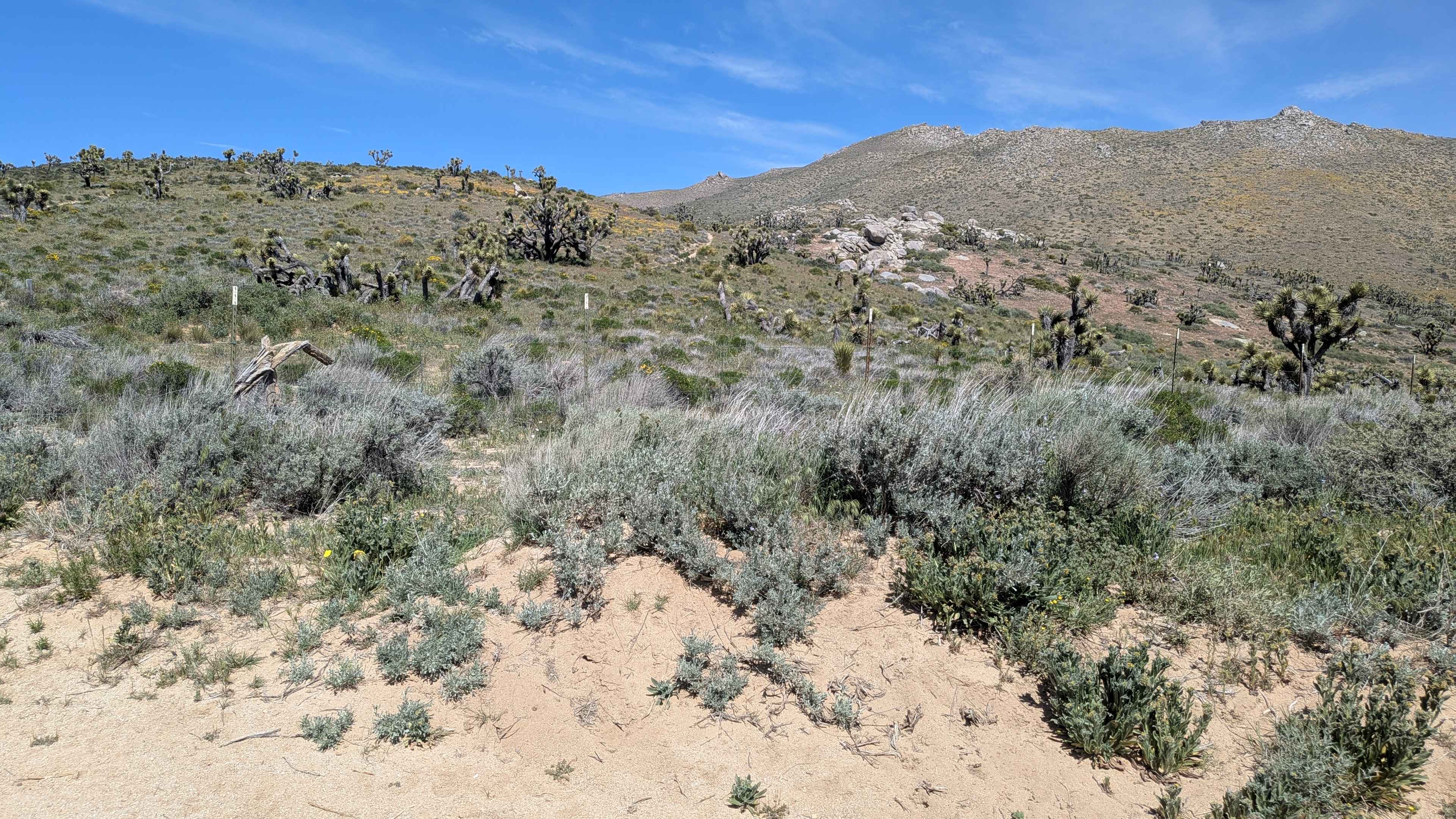 Frog Creek Road SC47