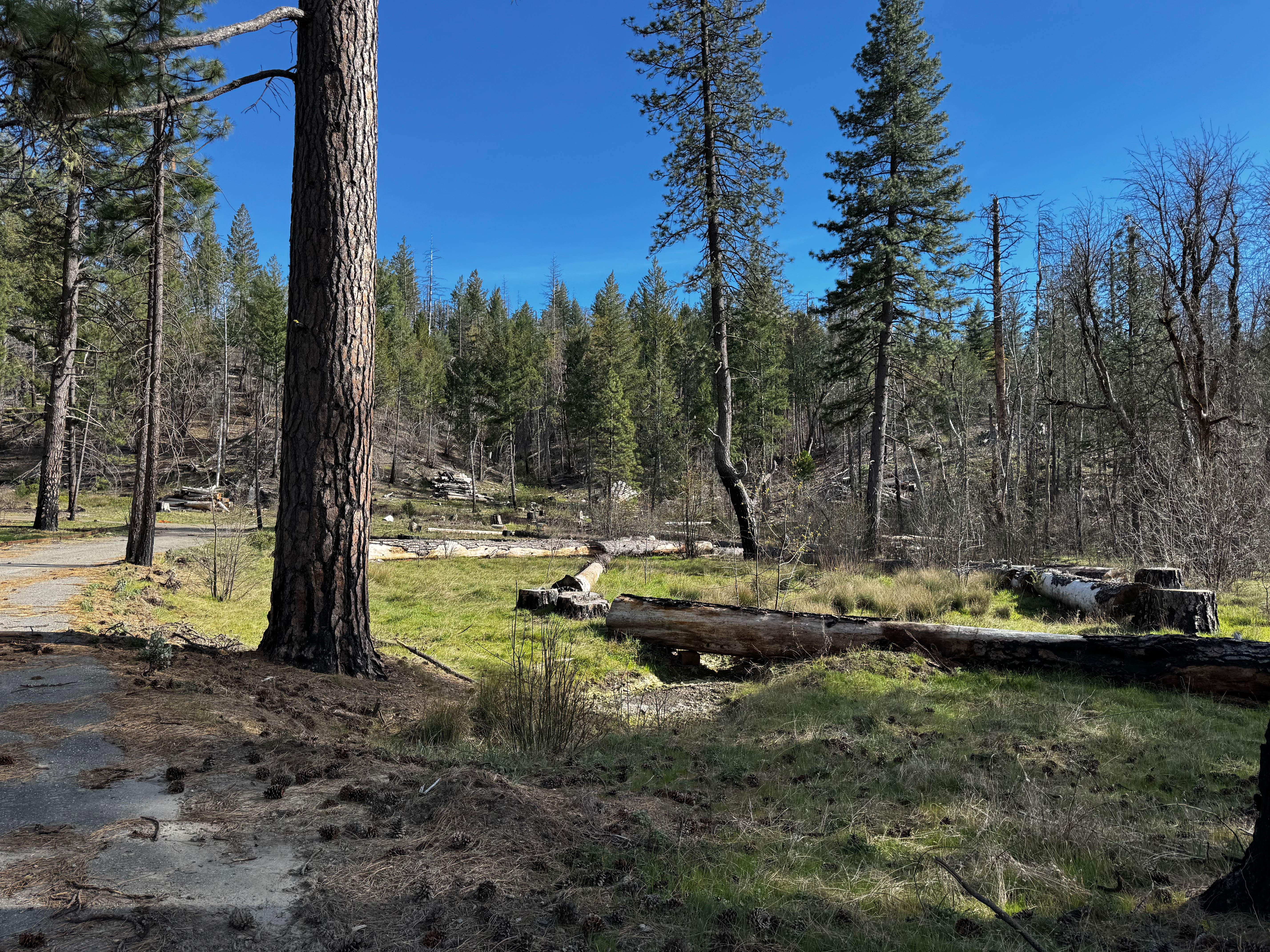 Mill Valley Spur C - FS 17N02C