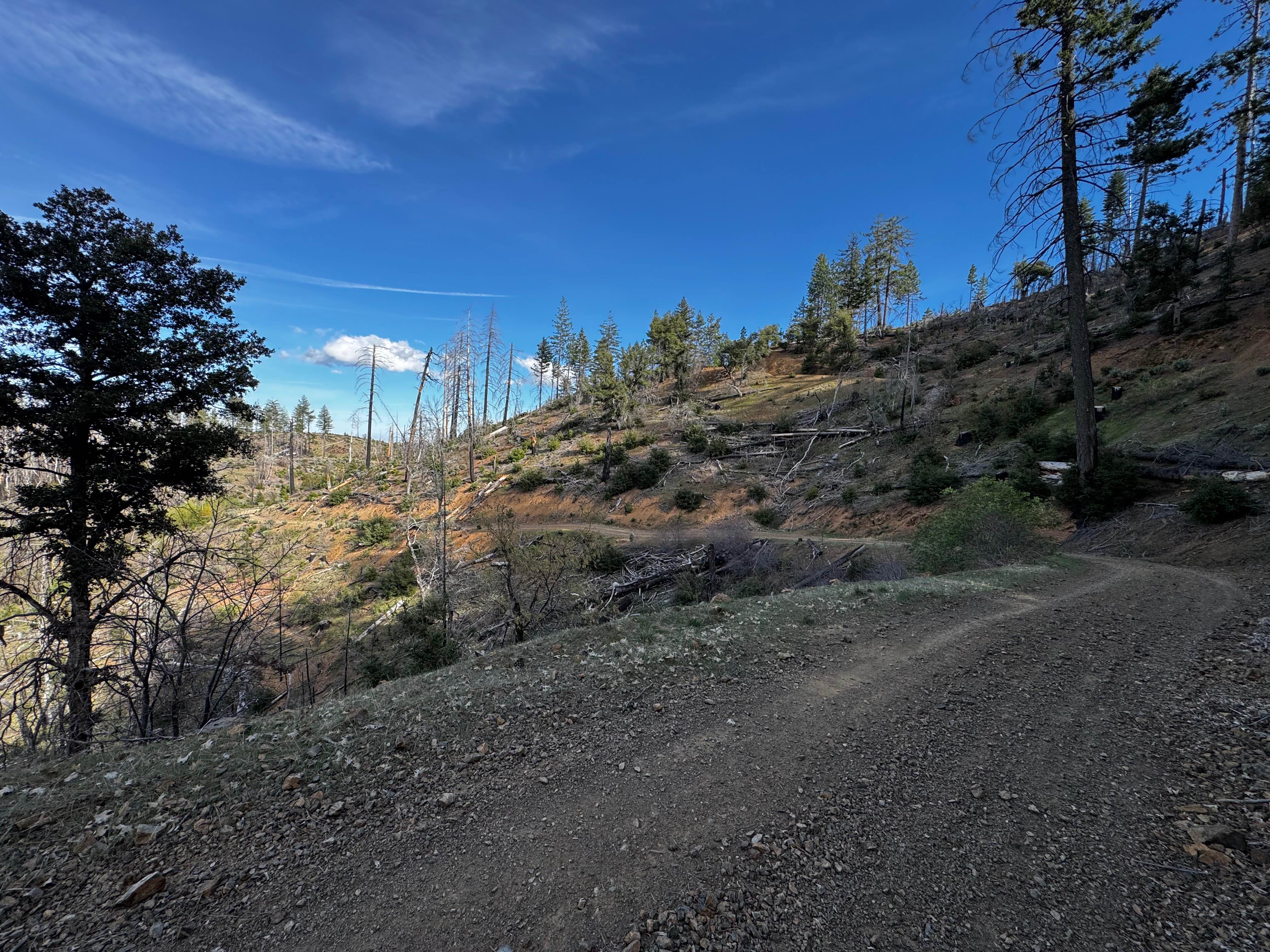 East Letts - FS 17N02k