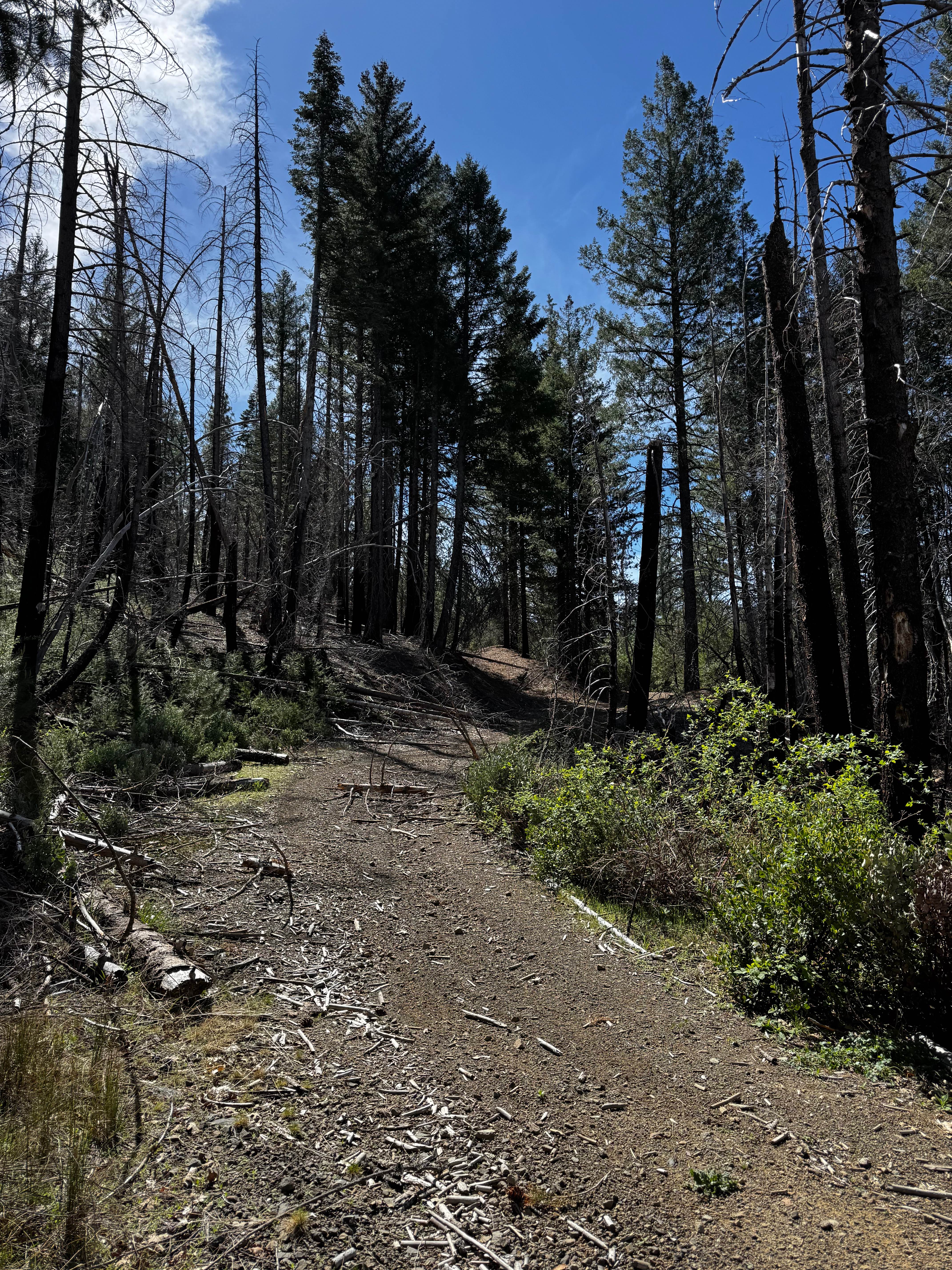 Stony Slope - FS 17N89