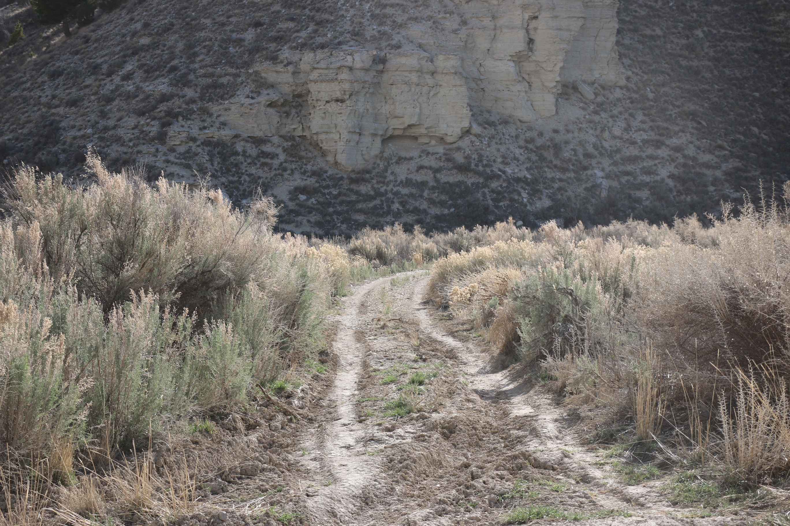 Bear Gulch - FS 10329