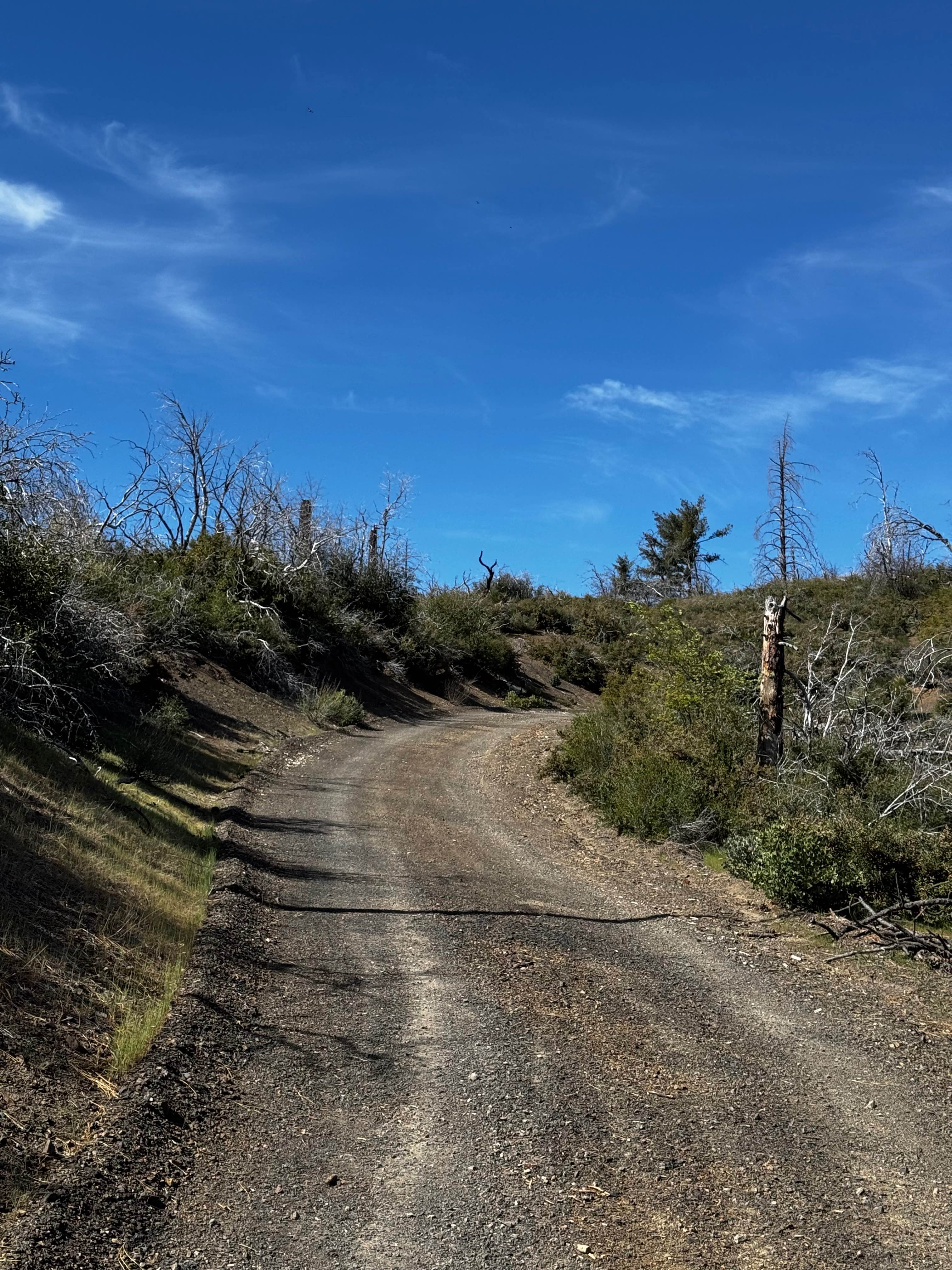 Boundary Road - FS 17N06