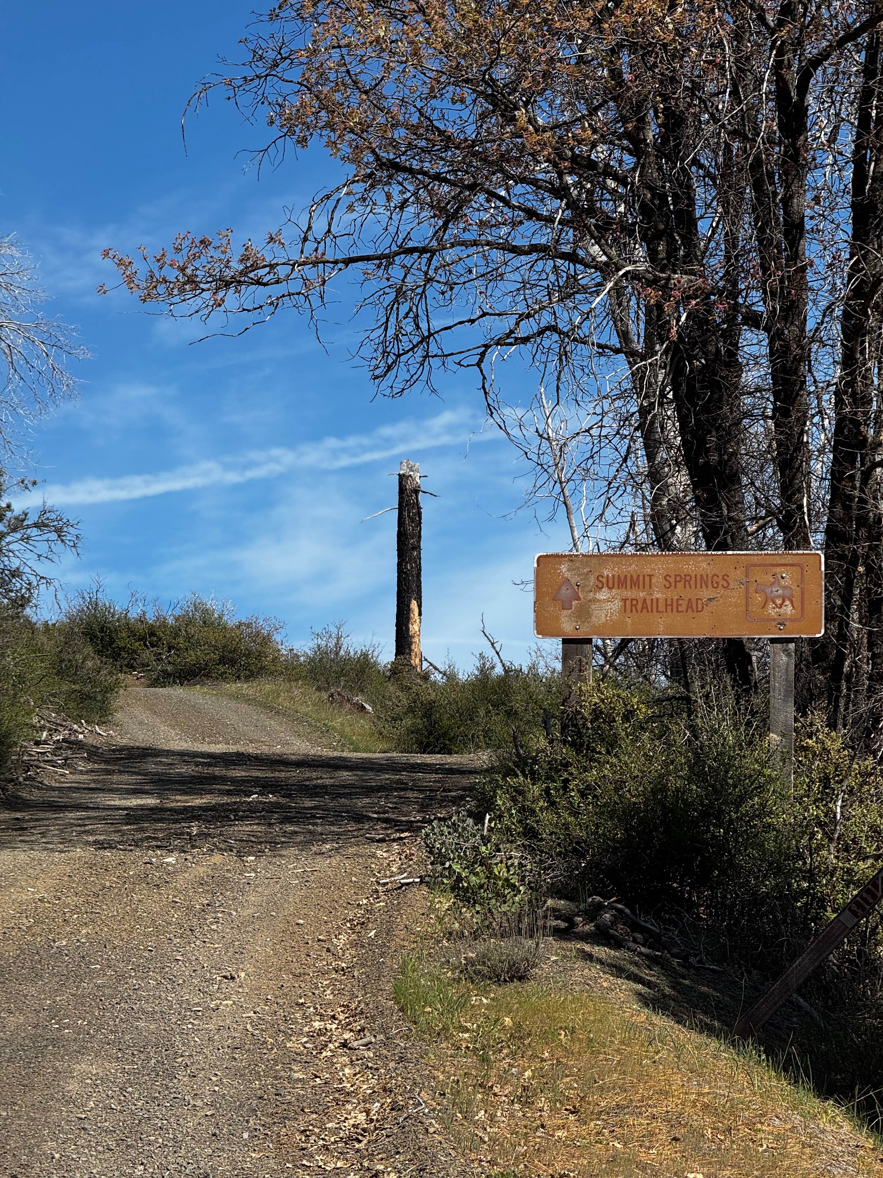 Boundary Road - FS 17N06