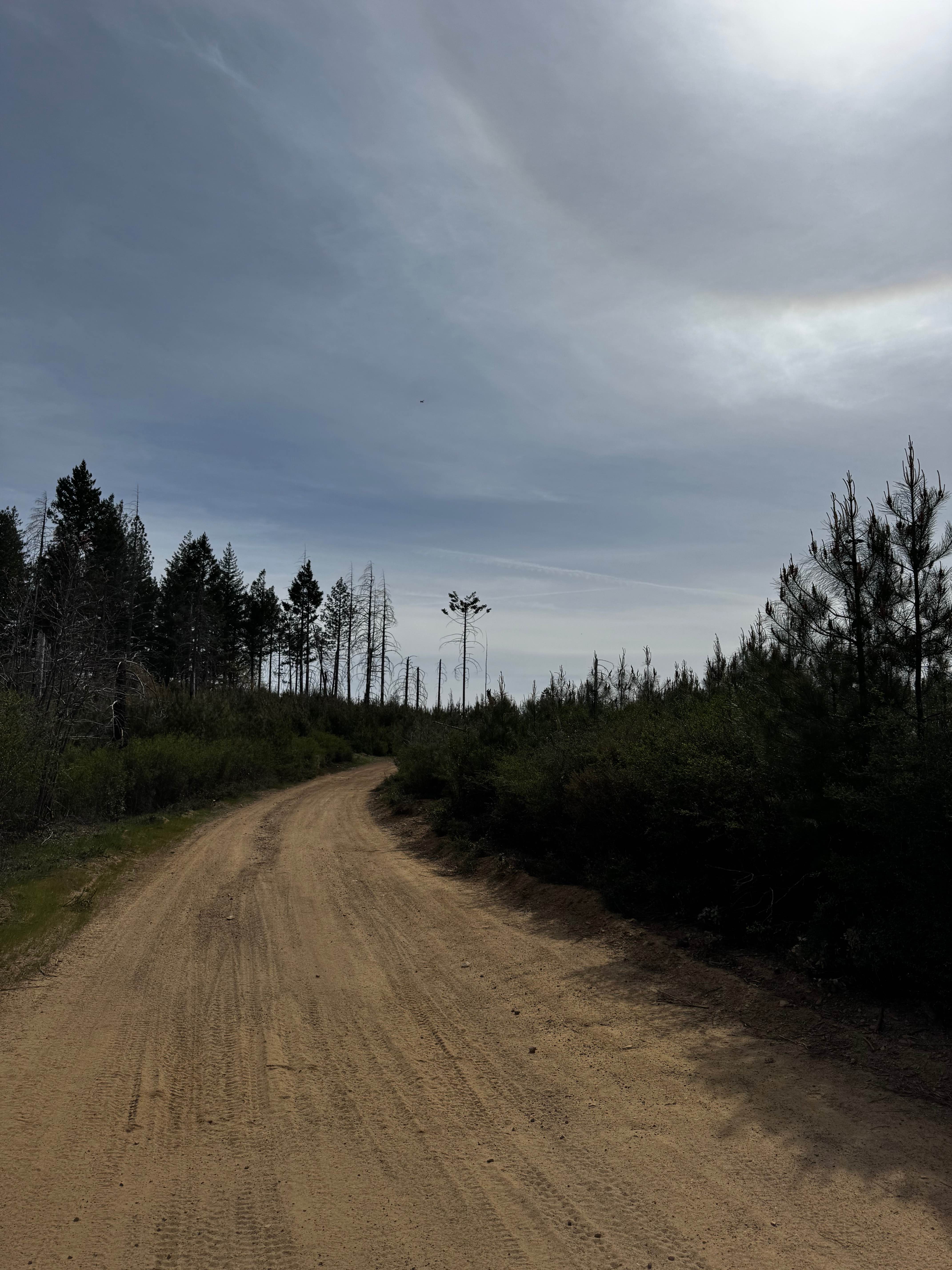 Pilot Grove - FS 16N01