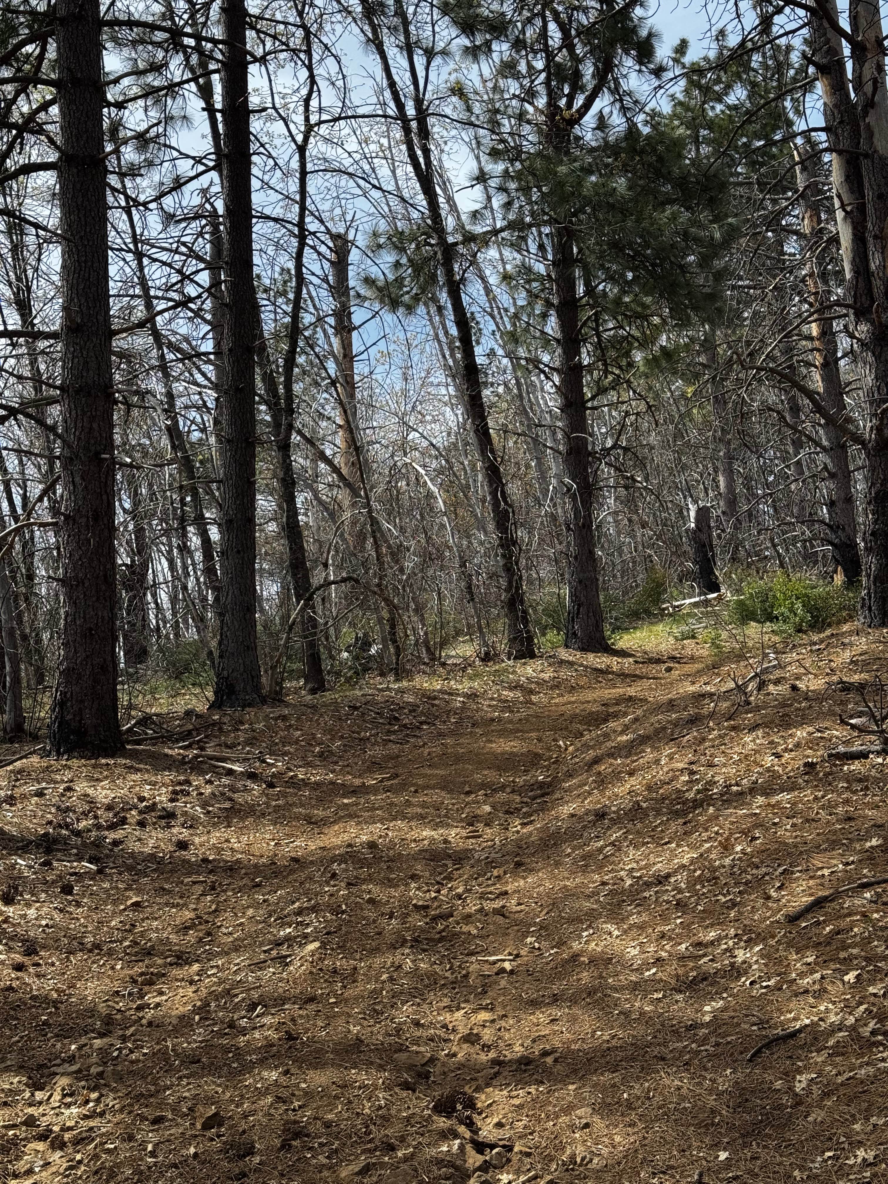 Horse Mountain Peak - FS 17N85