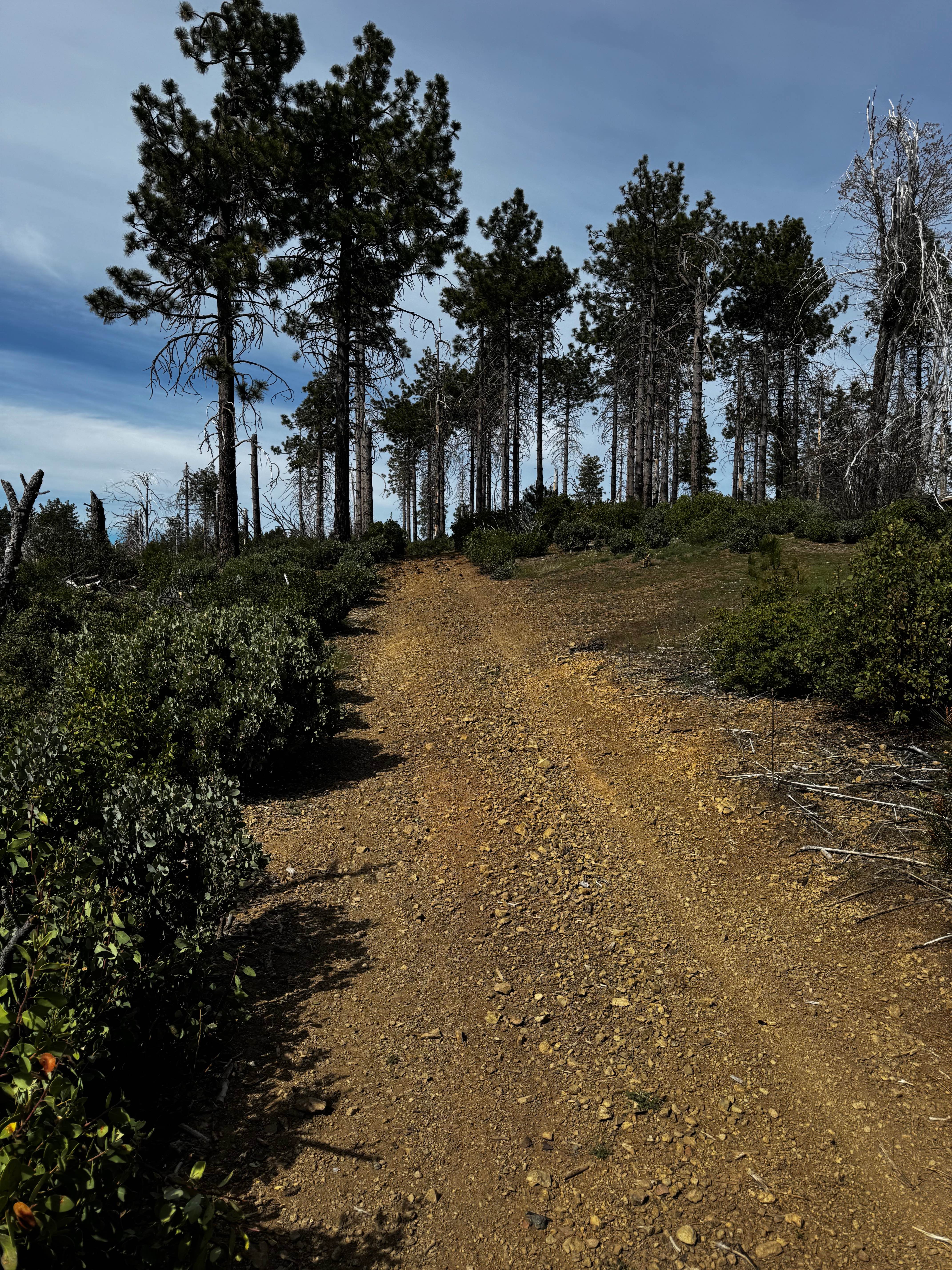 Horse Mountain South Connector - FS 17N27B