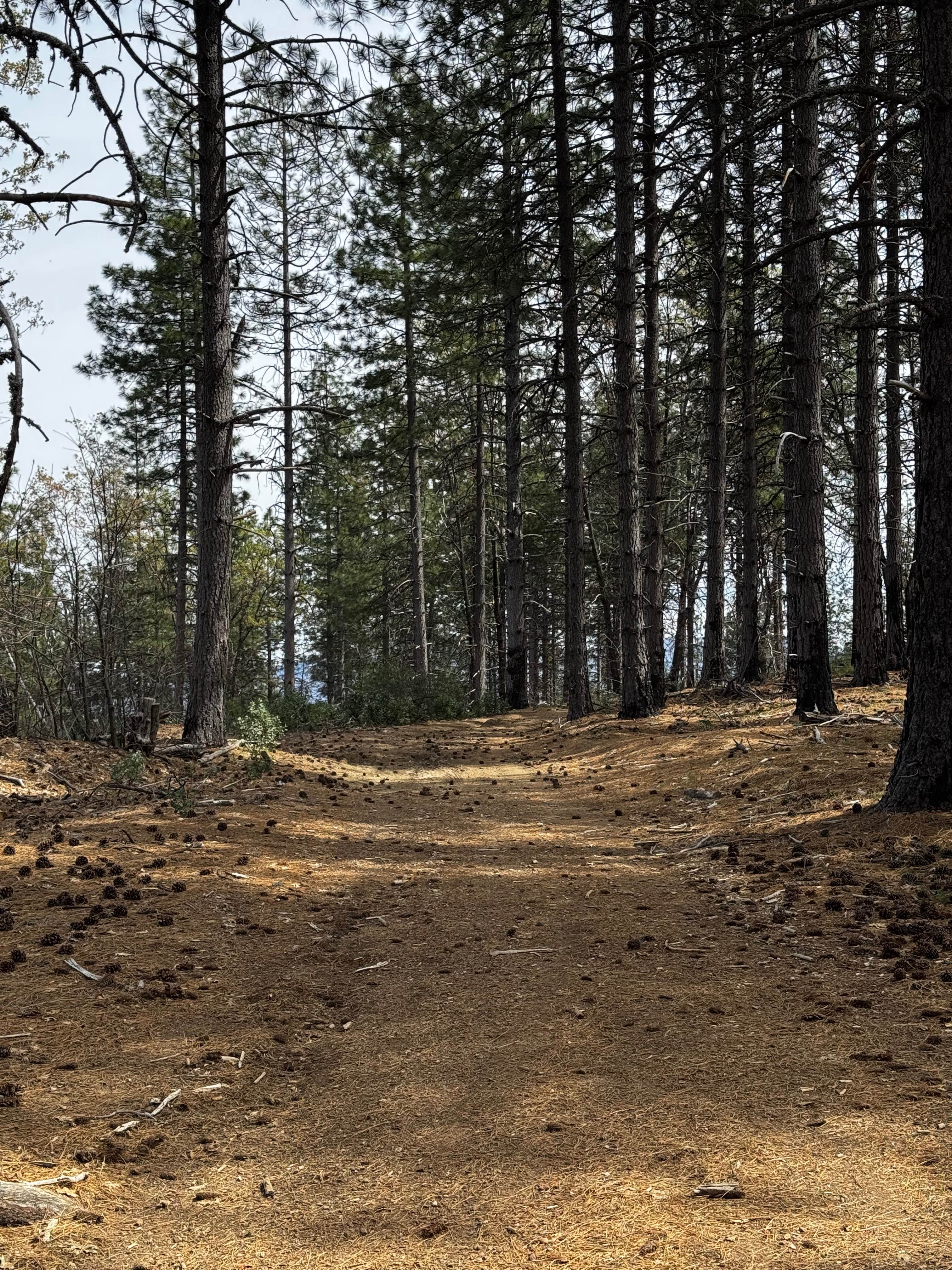 Horse Mountain - FS 17N27