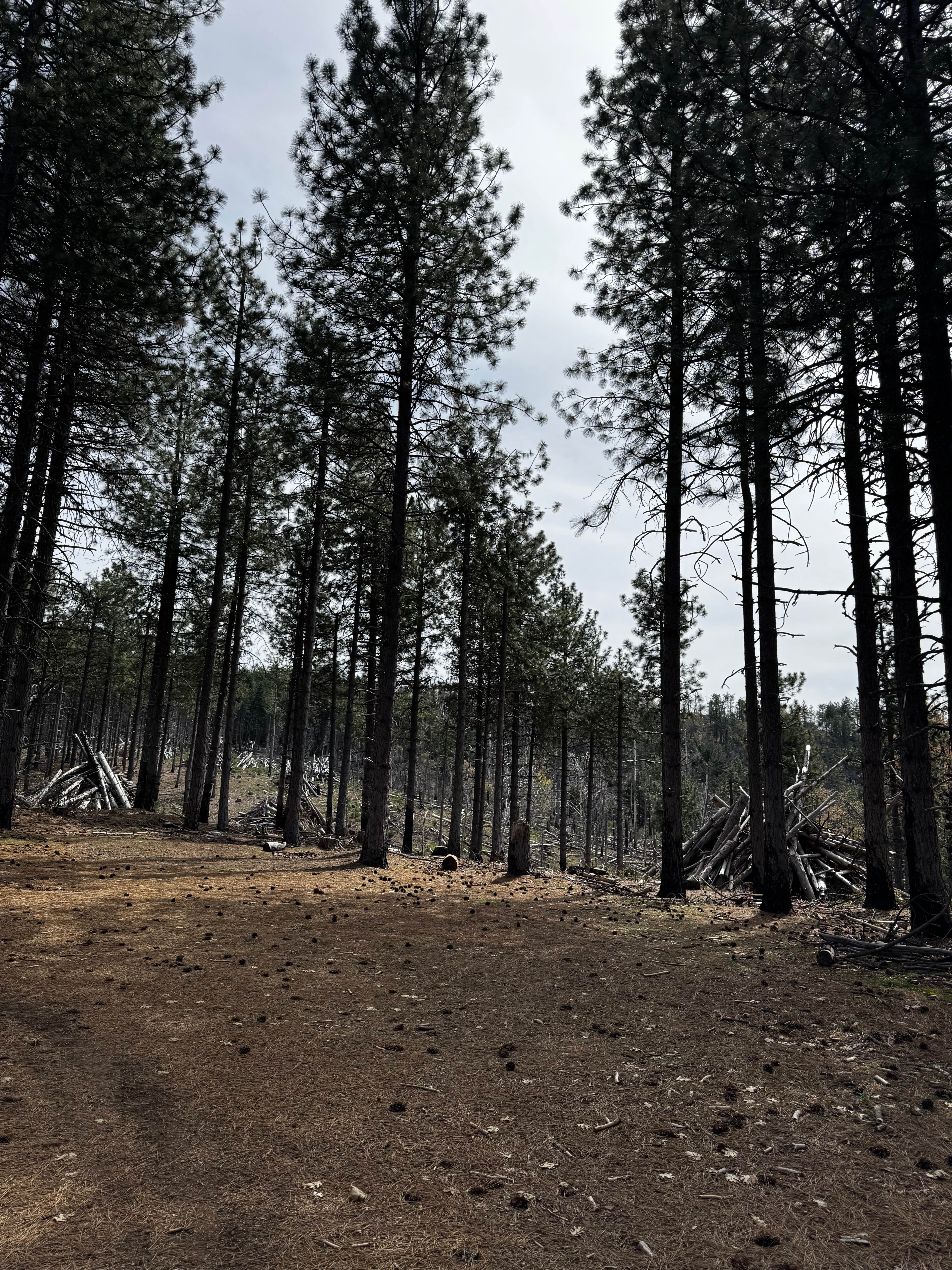 Horse Mountain - FS 17N27