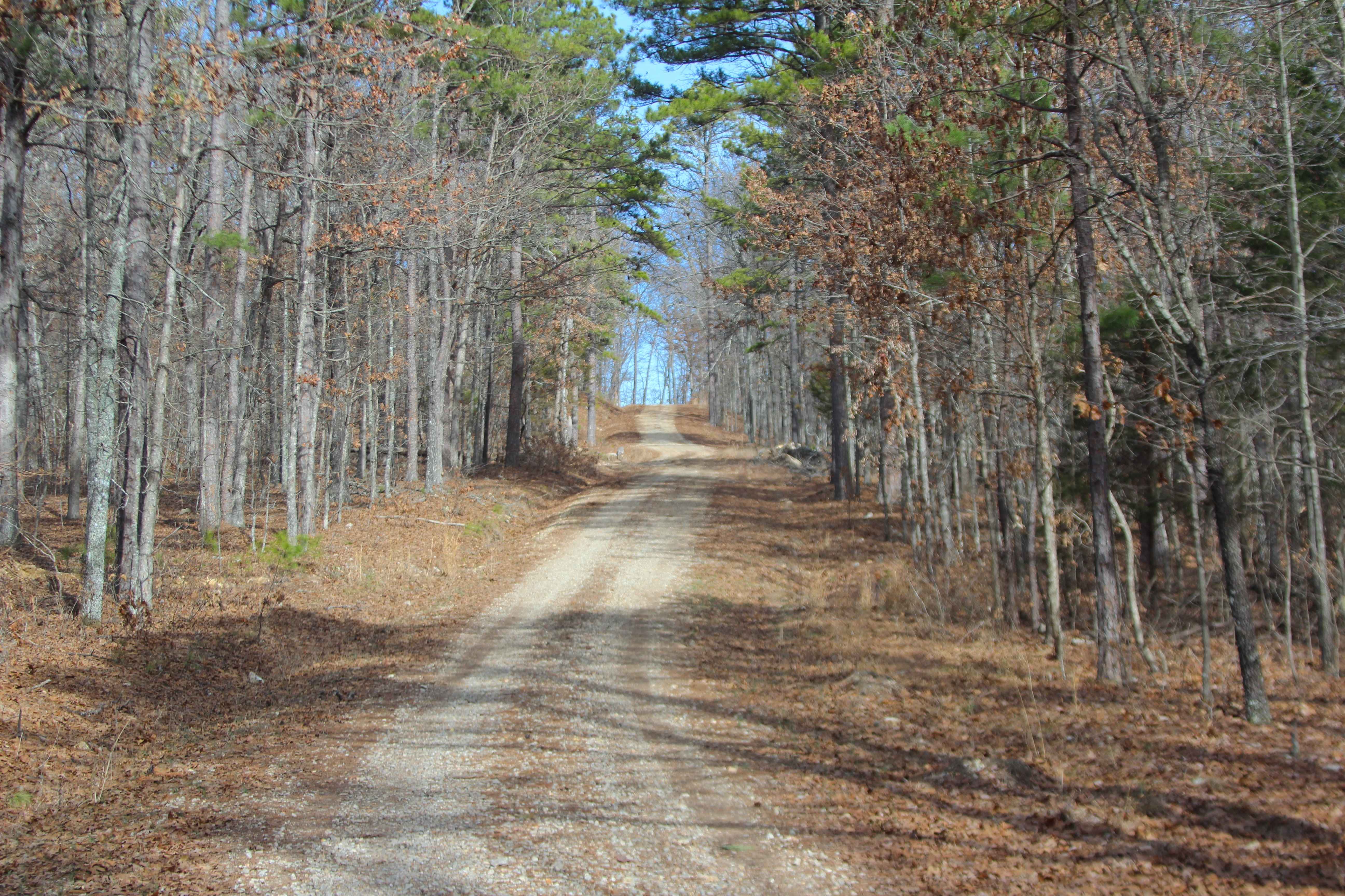 Twin Mountain - FS 418