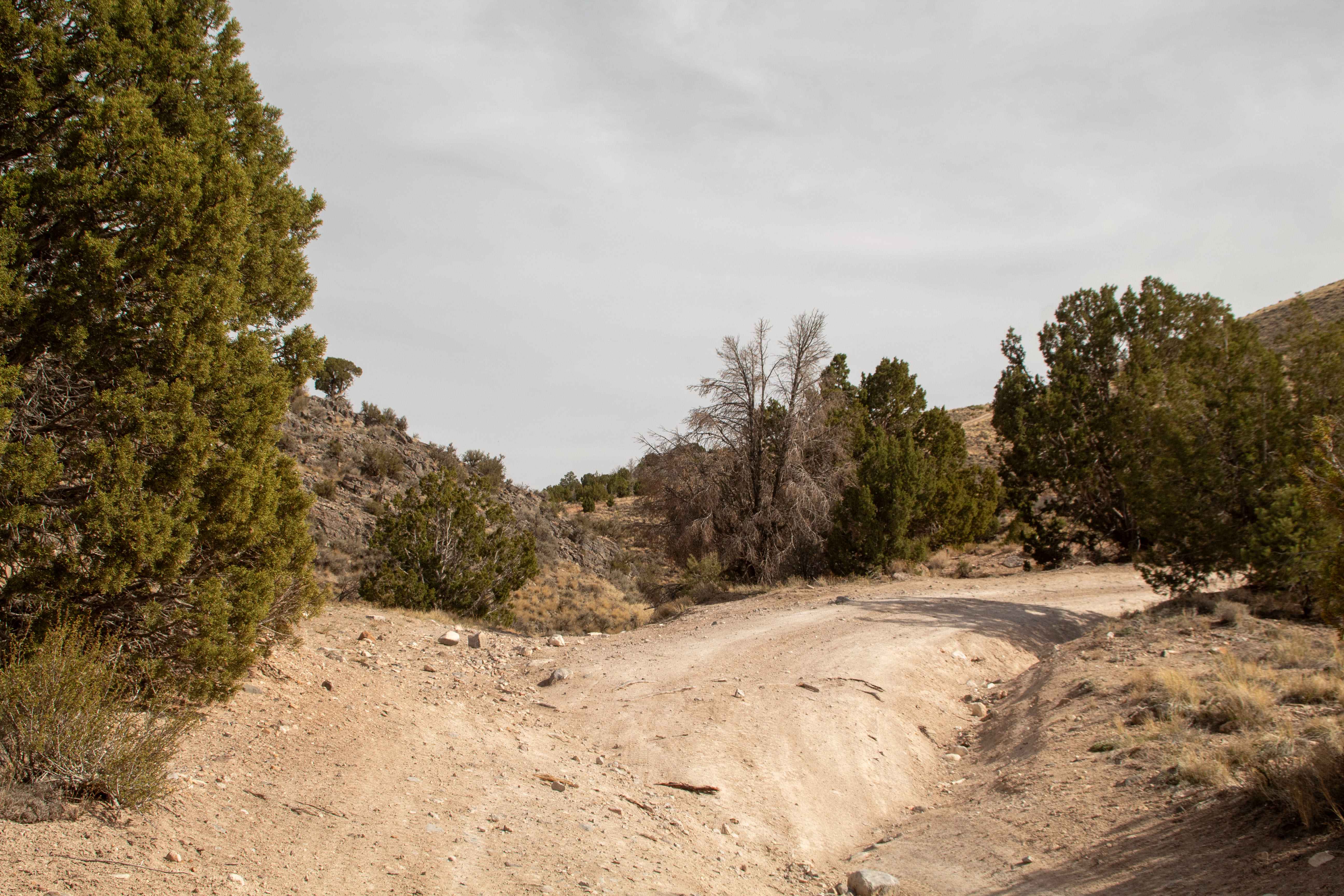 Chimney Rock Mine Trail