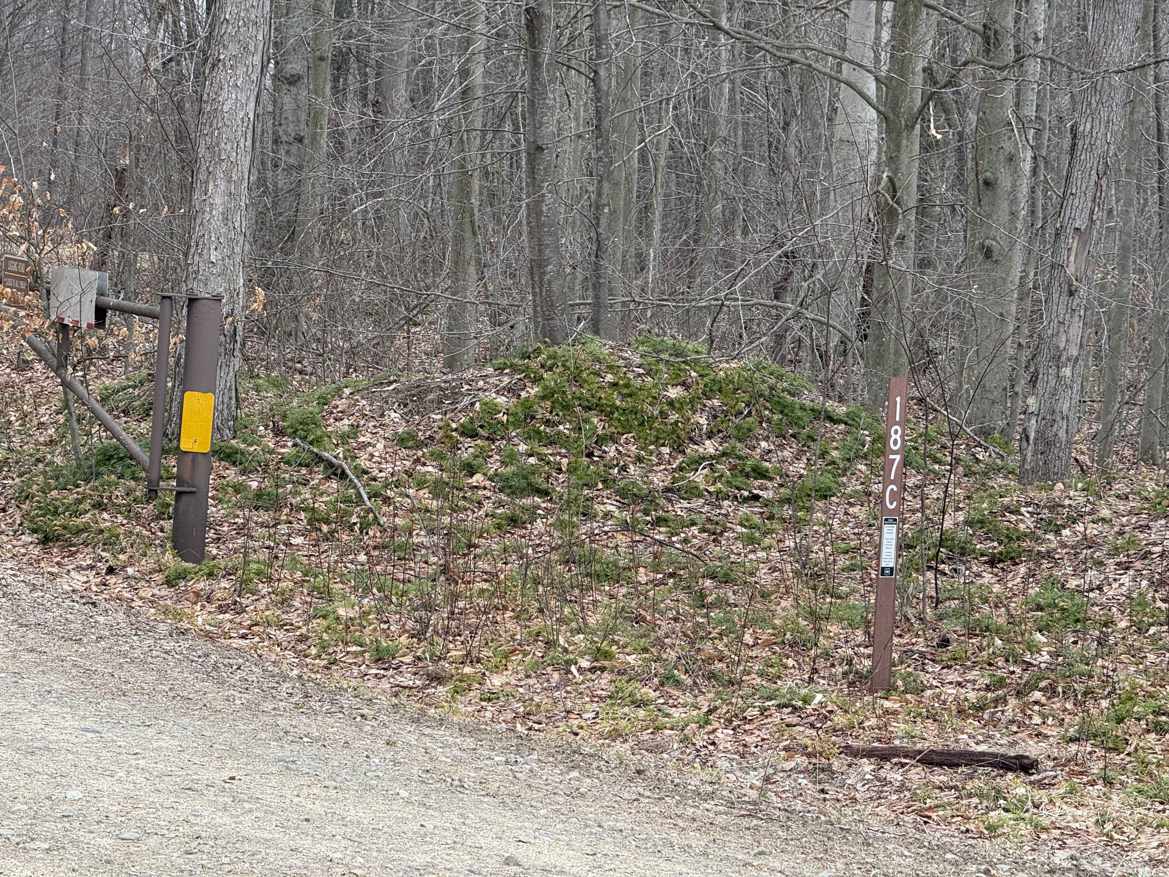 Four Corners - FS 187C