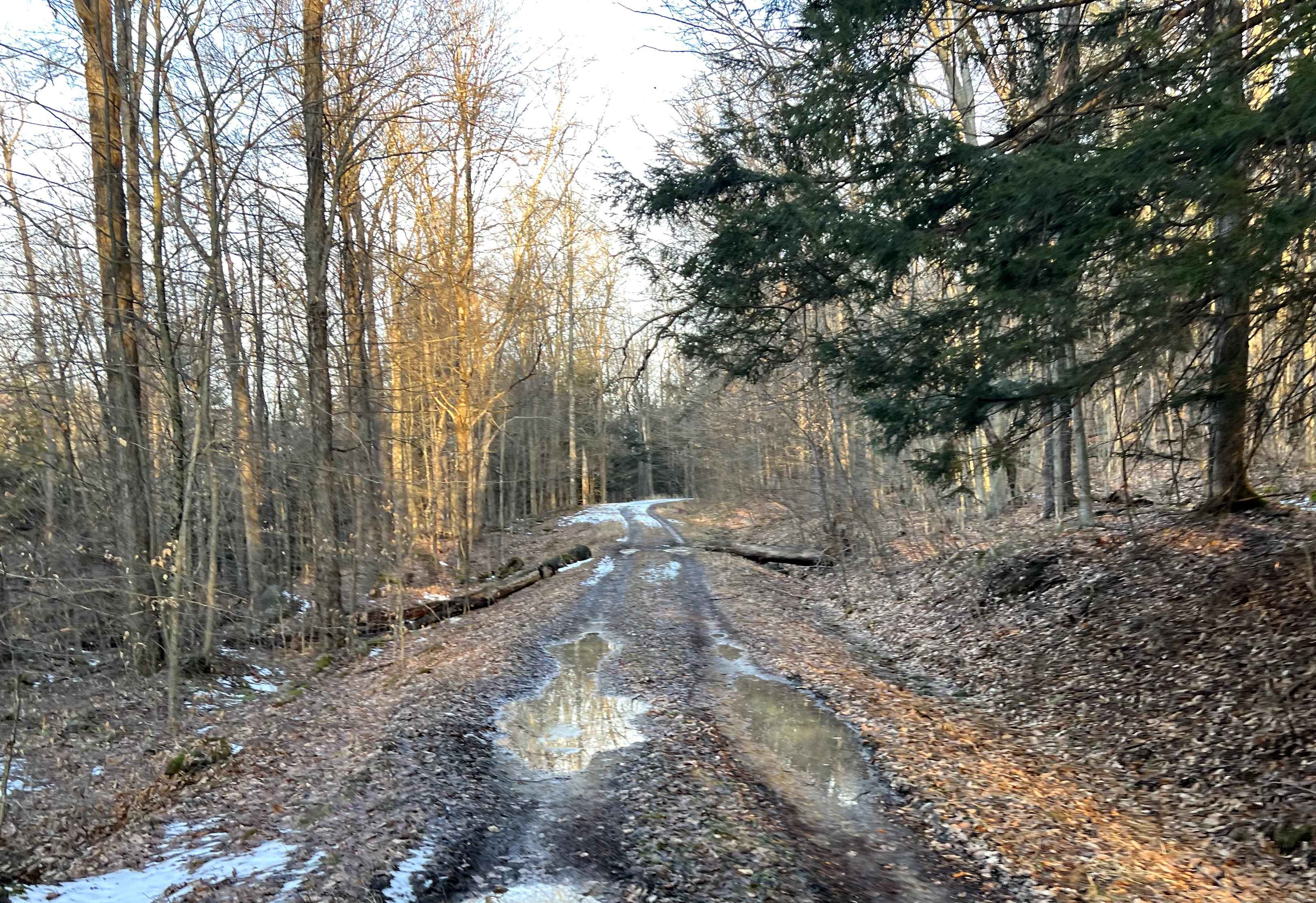 Meade Run Trail - FS 457A