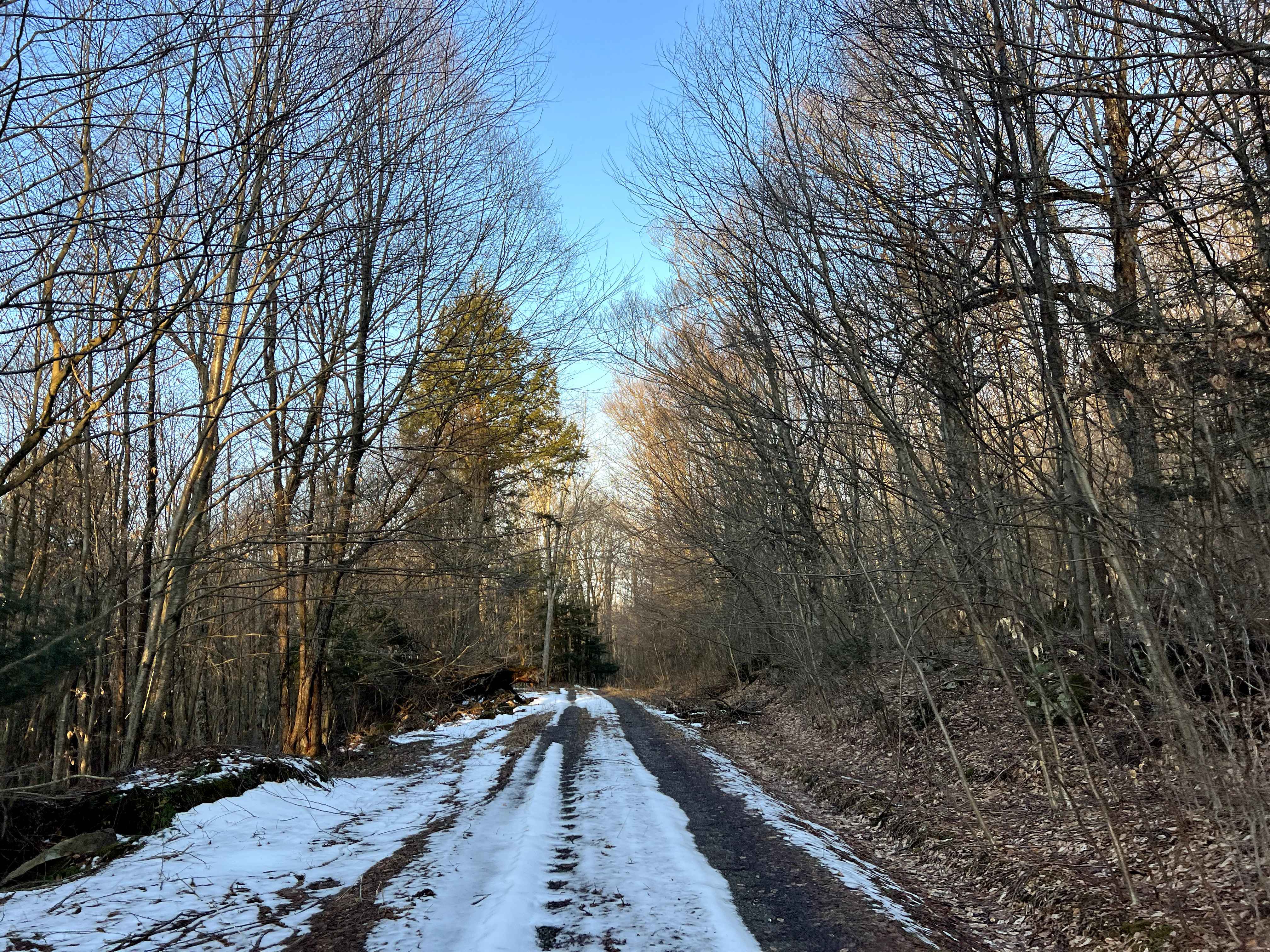 Meade Run Trail - FS 457A