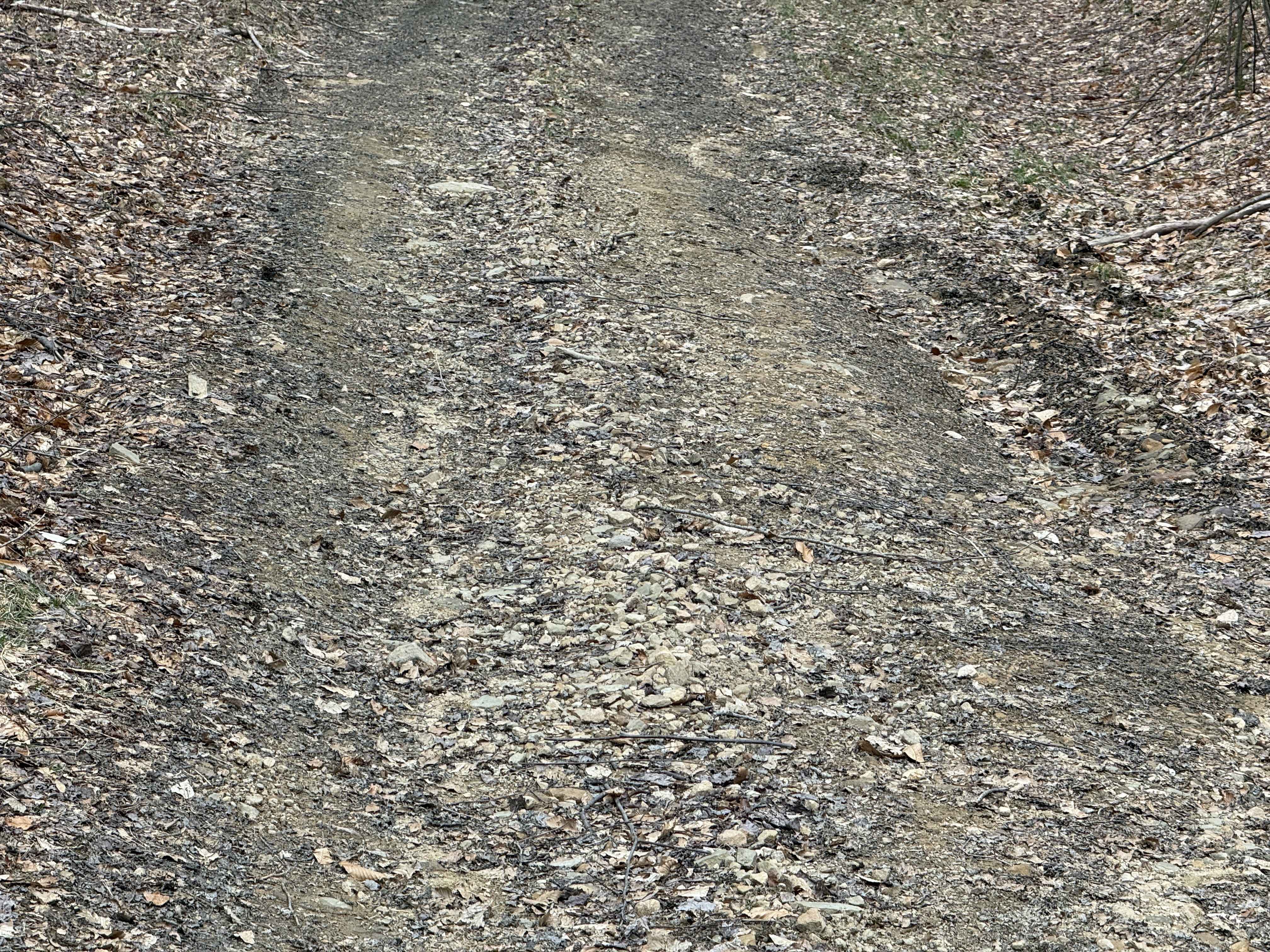 Colby Run - FS 02338