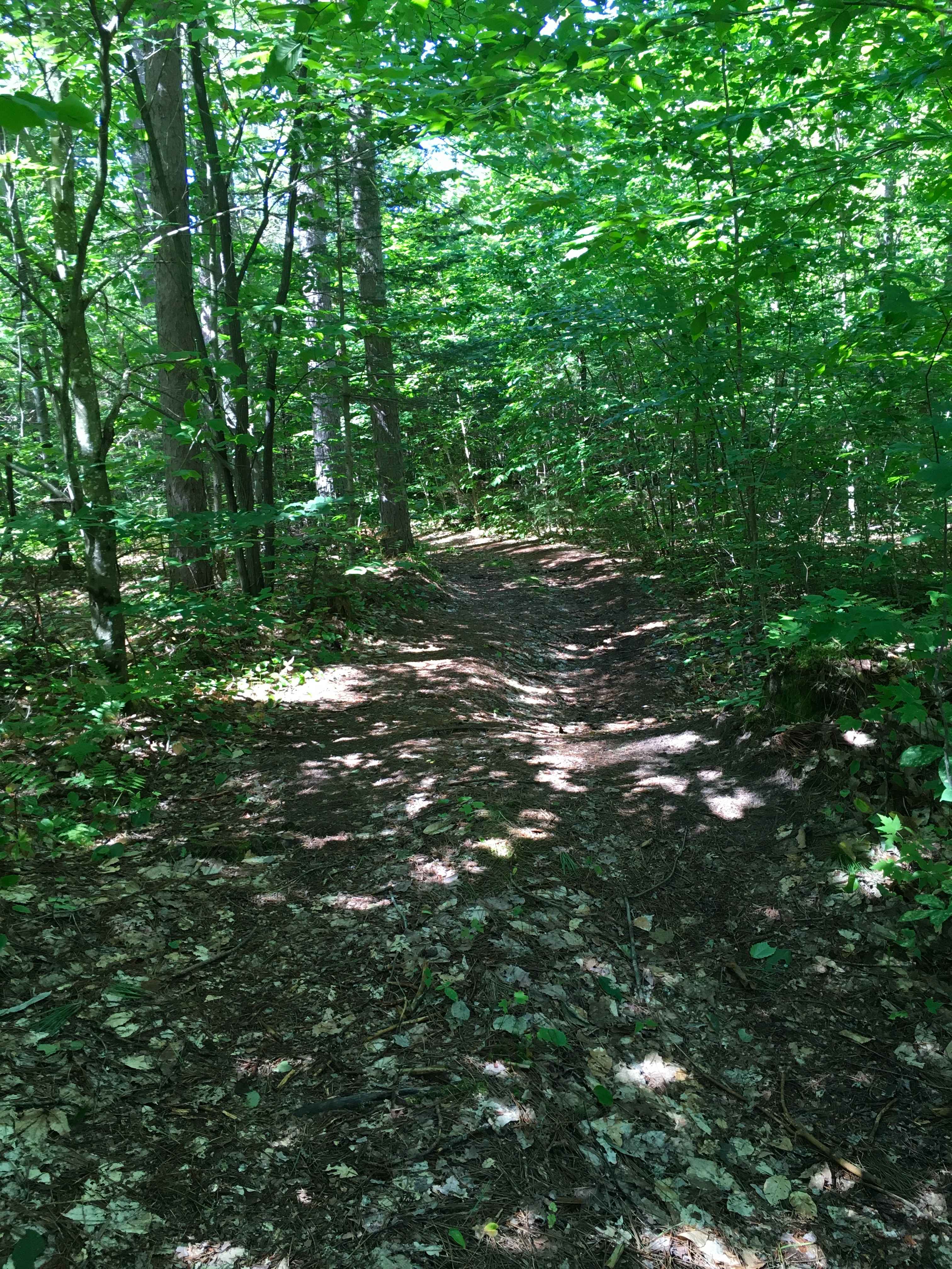 McLachlan Road - FS 3455