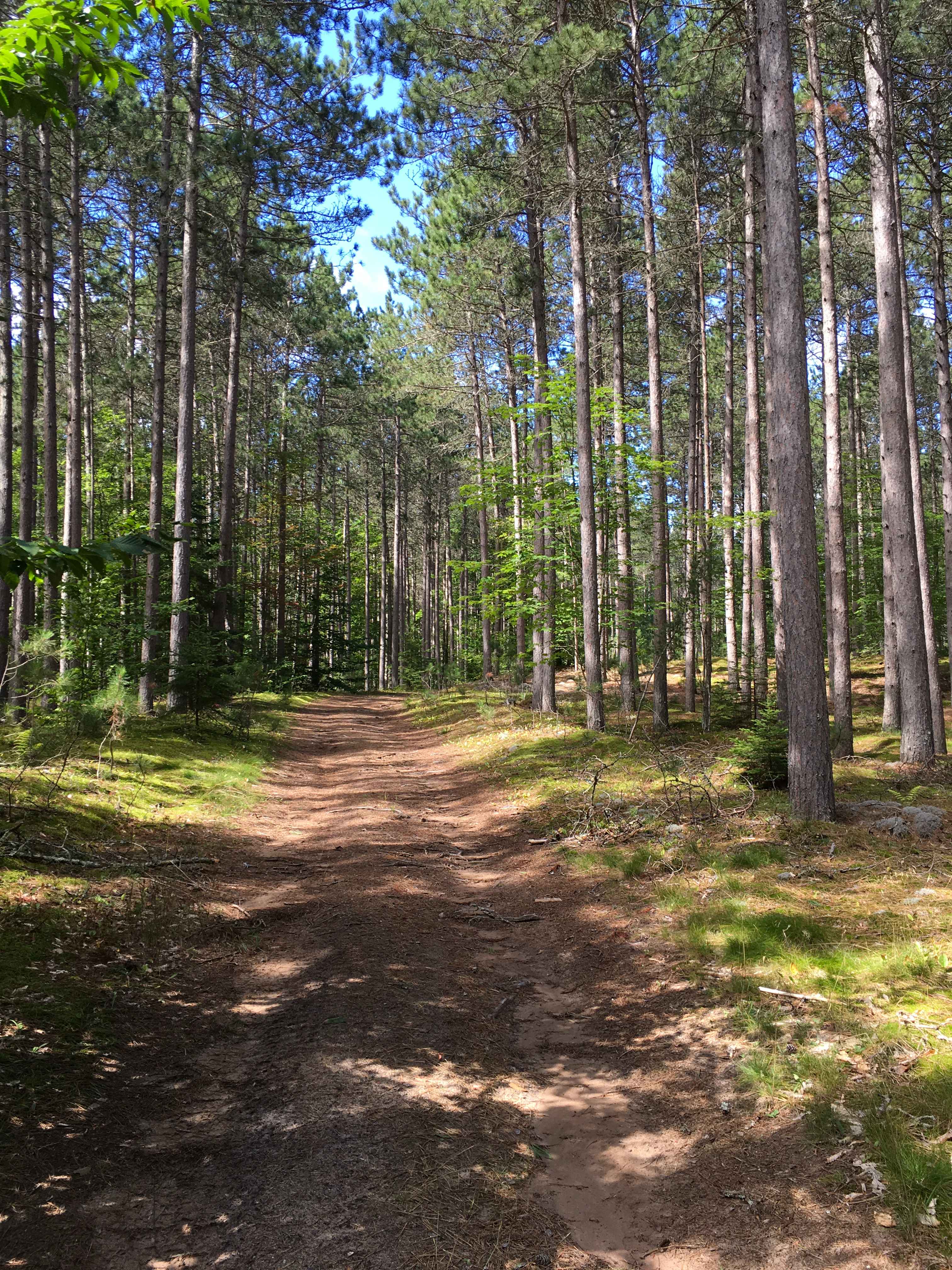 McLachlan Road - FS 3455