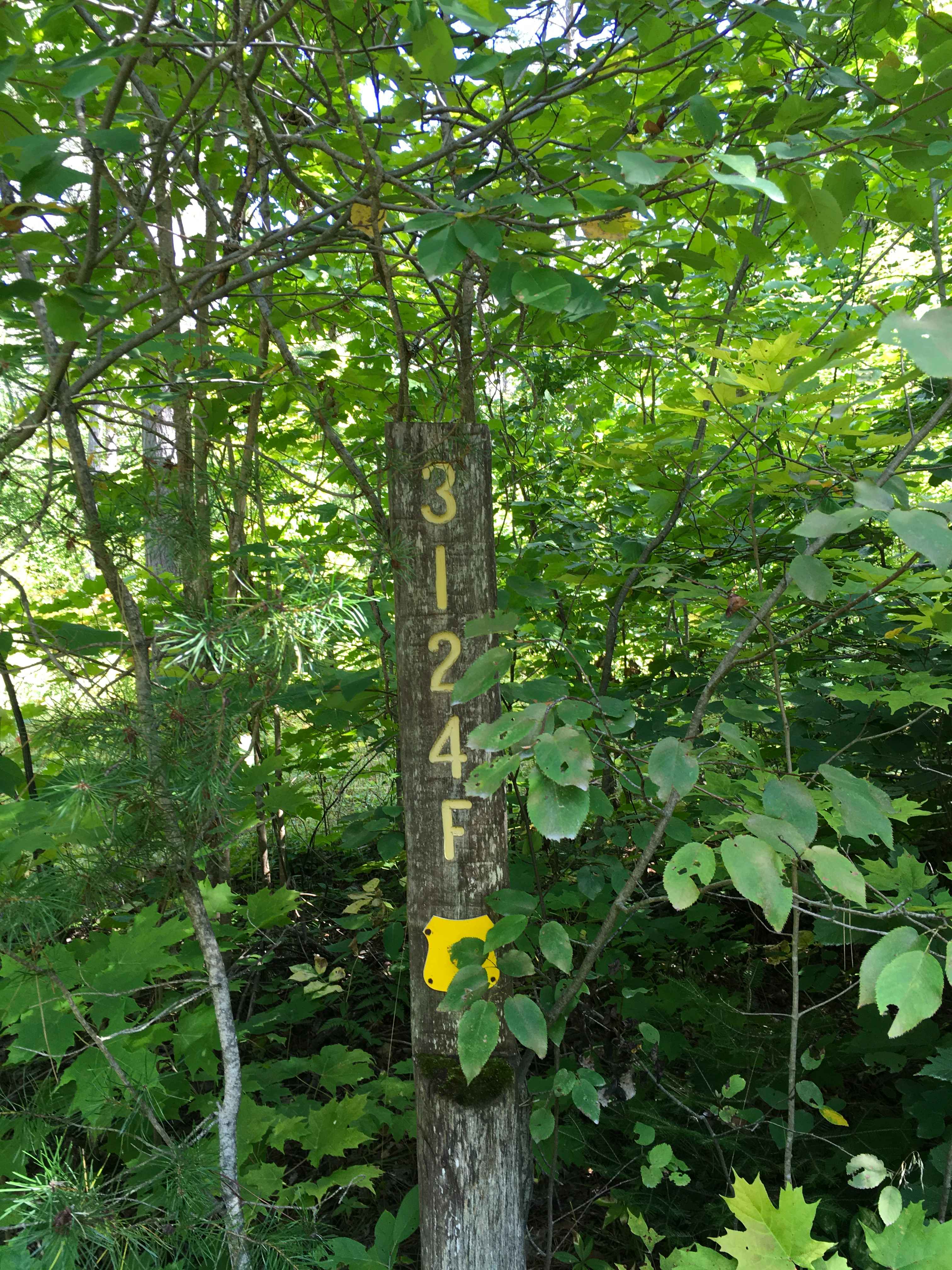 Burma Grade Spur F - FS 3124F