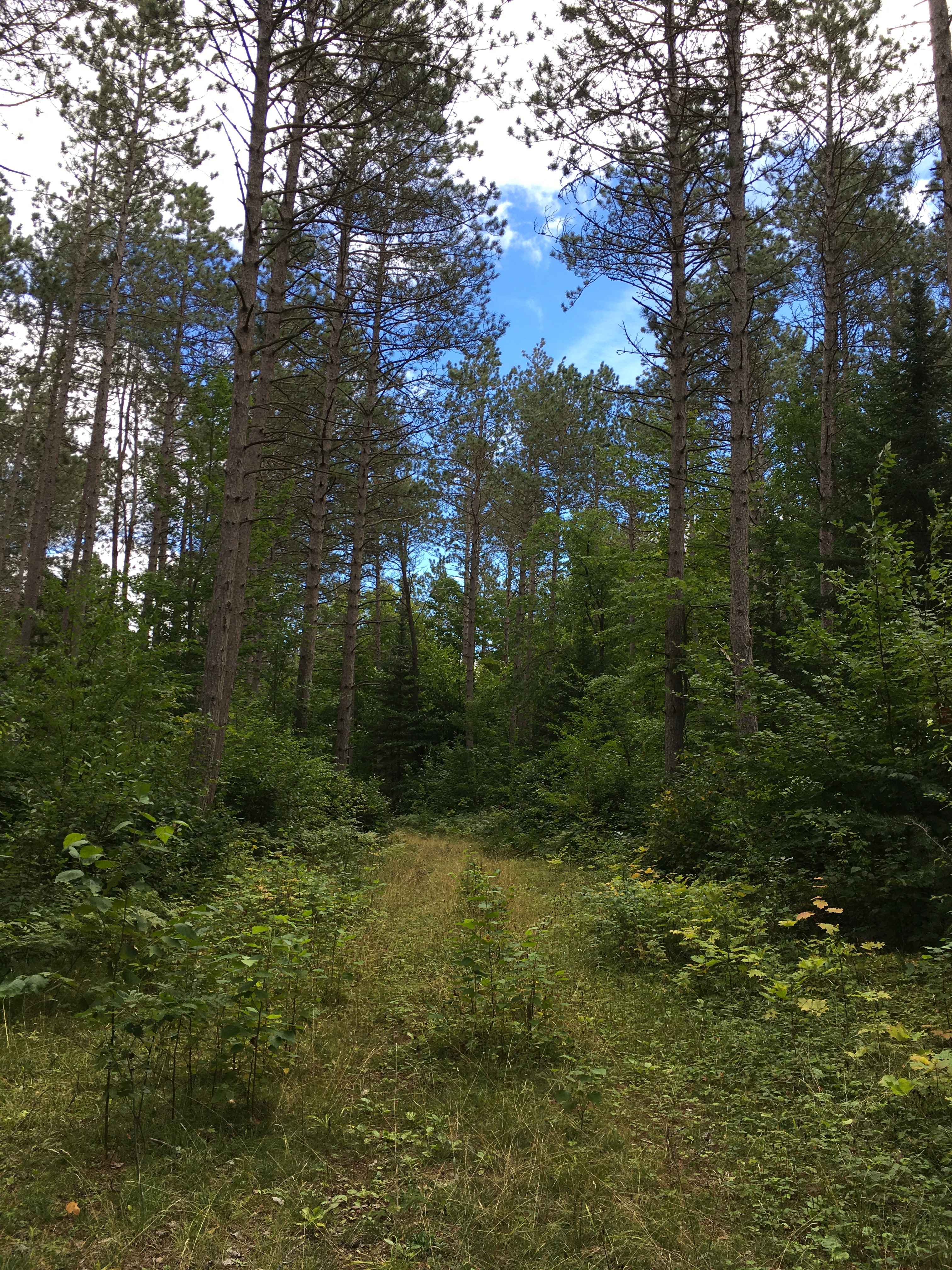 Burma Grade Spur B - FS 3124B