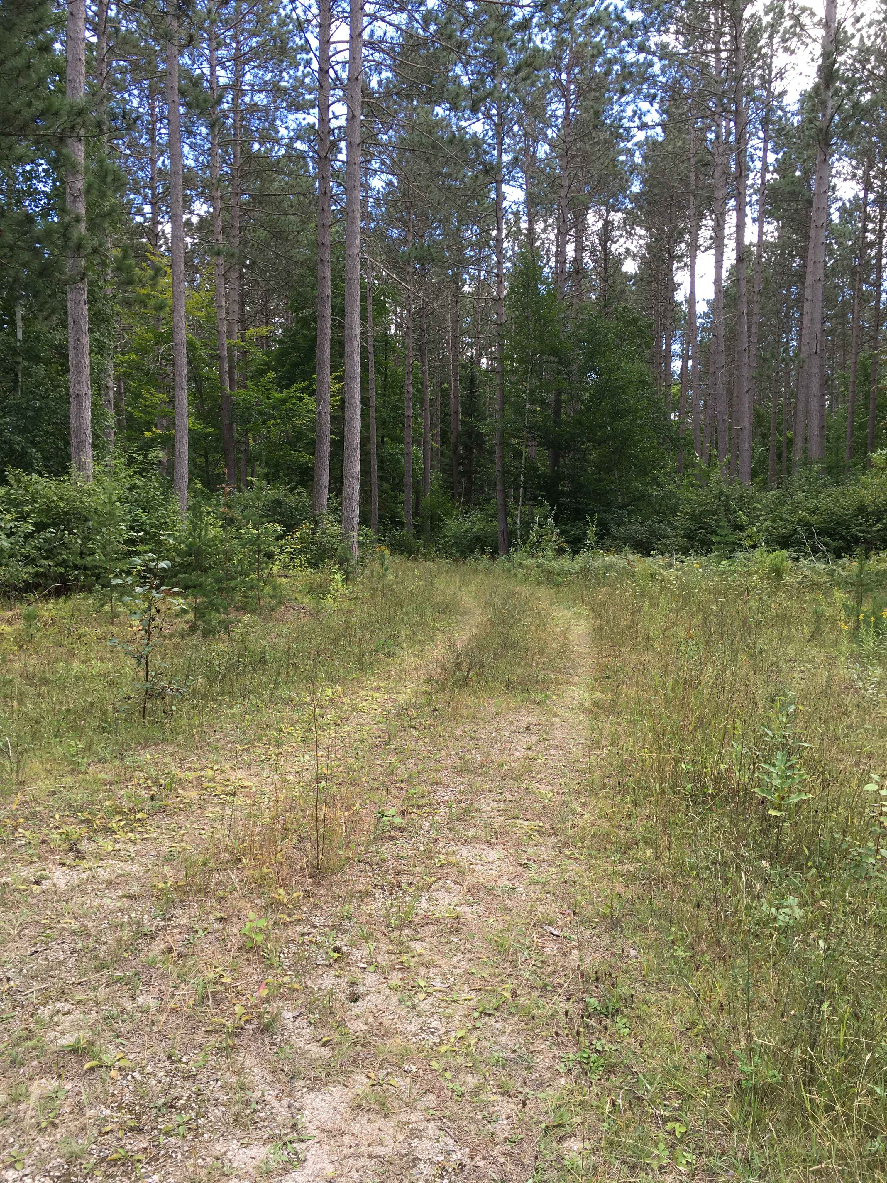 Burma Grade Spur B - FS 3124B