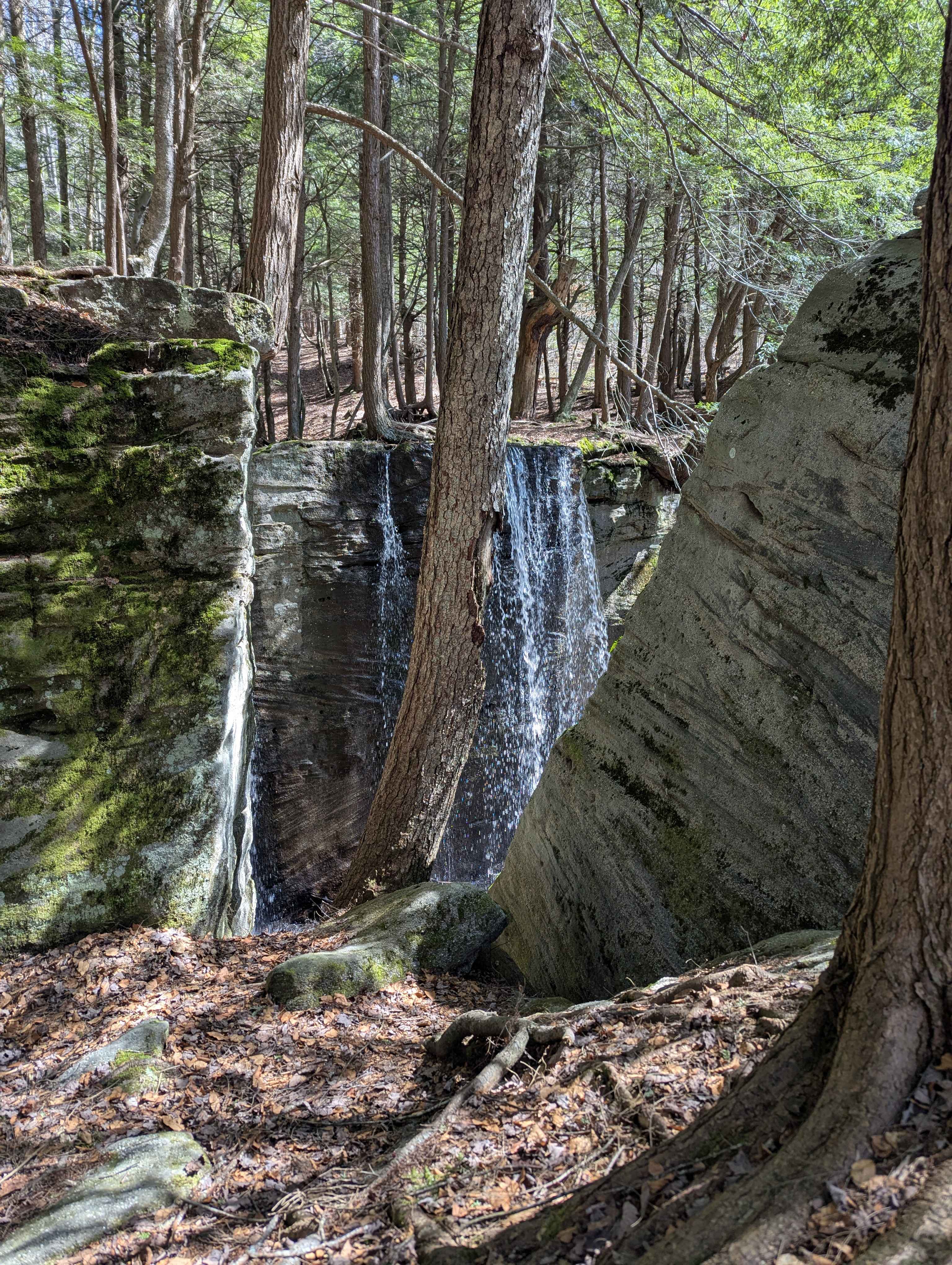 Sheffield Tower - FS 258