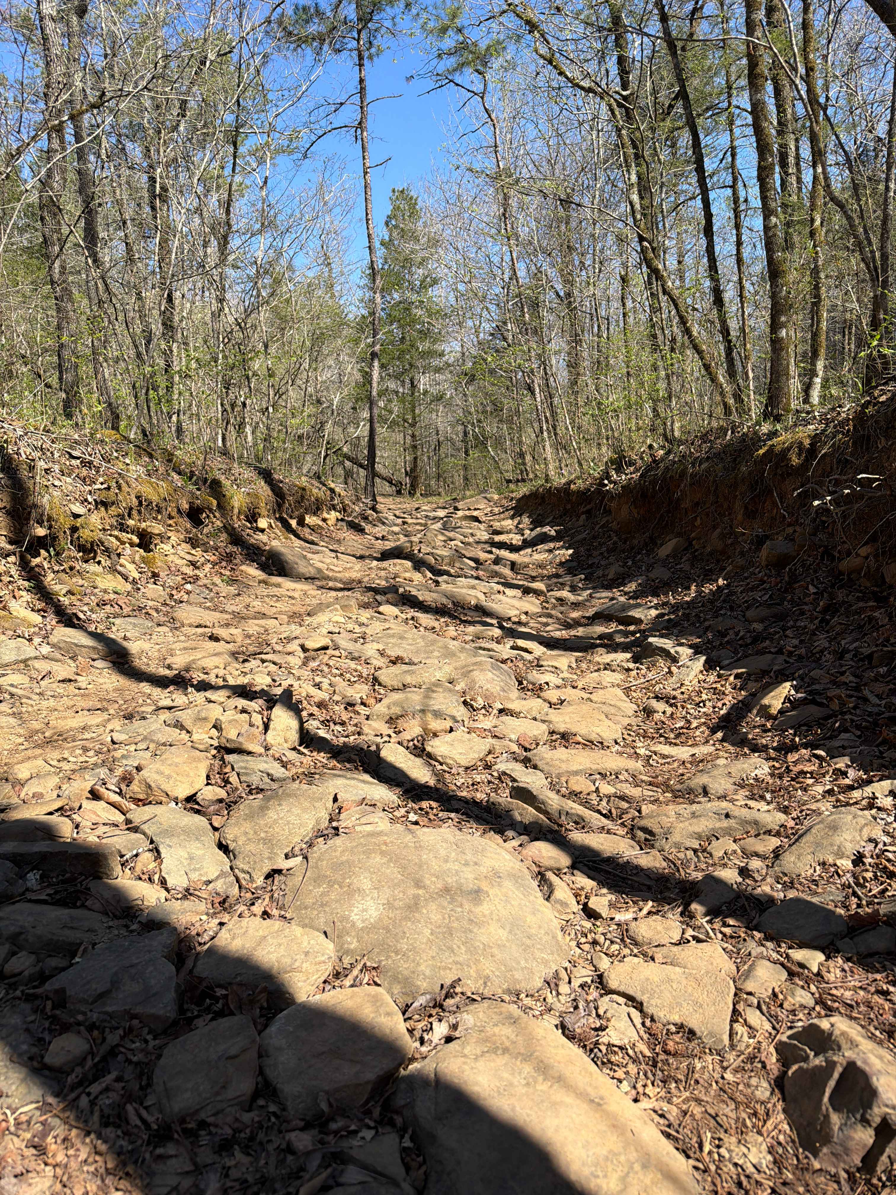 Felkins-Myer Bridge Road - FS 1322