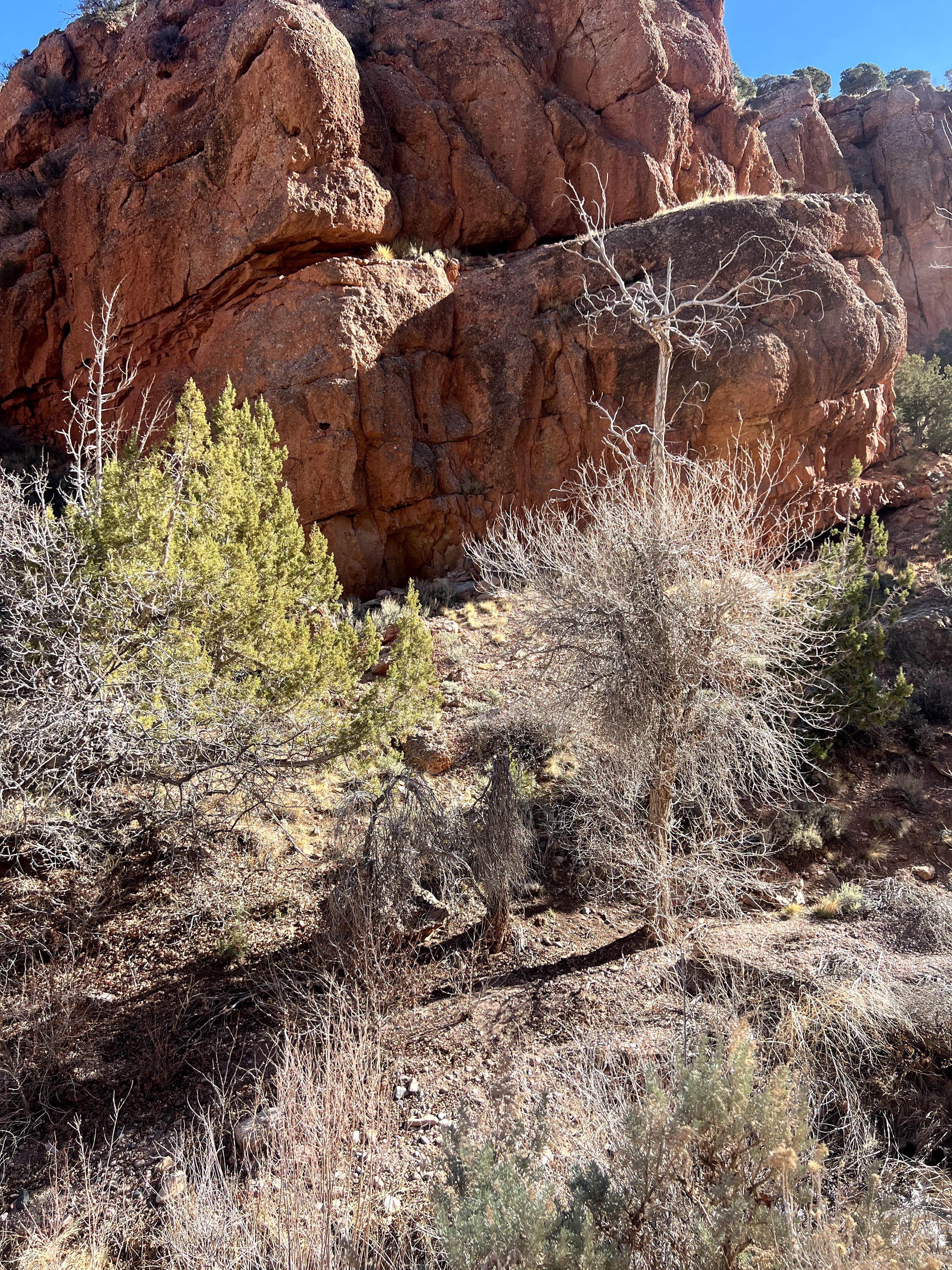 Little Creek Road West