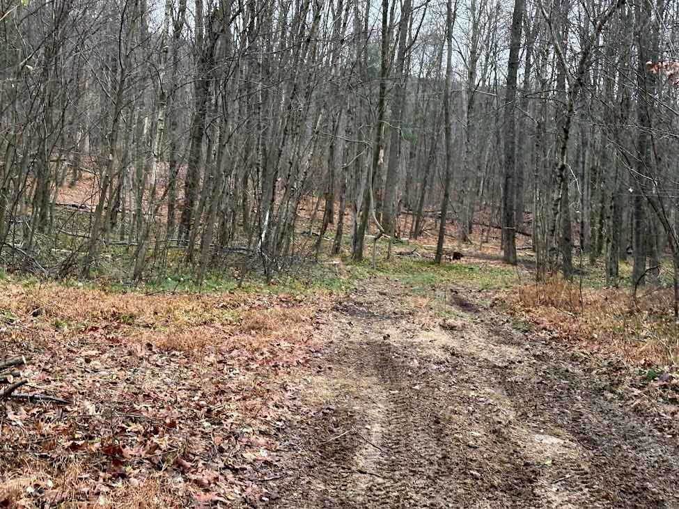 Holly Ave Outer Loop