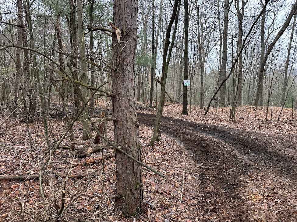 Holly Ave Outer Loop