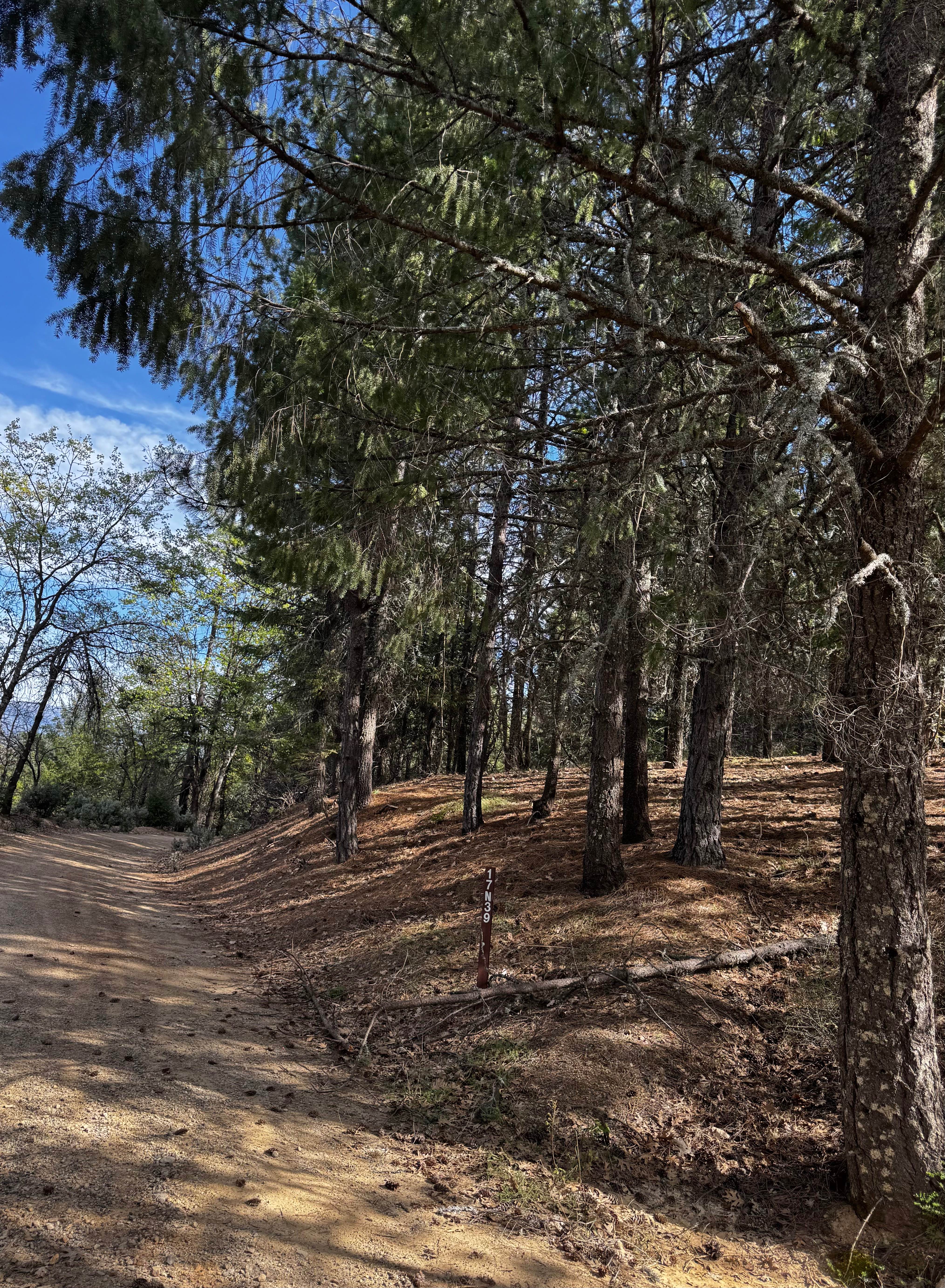 Willow Rock - FS 17N39