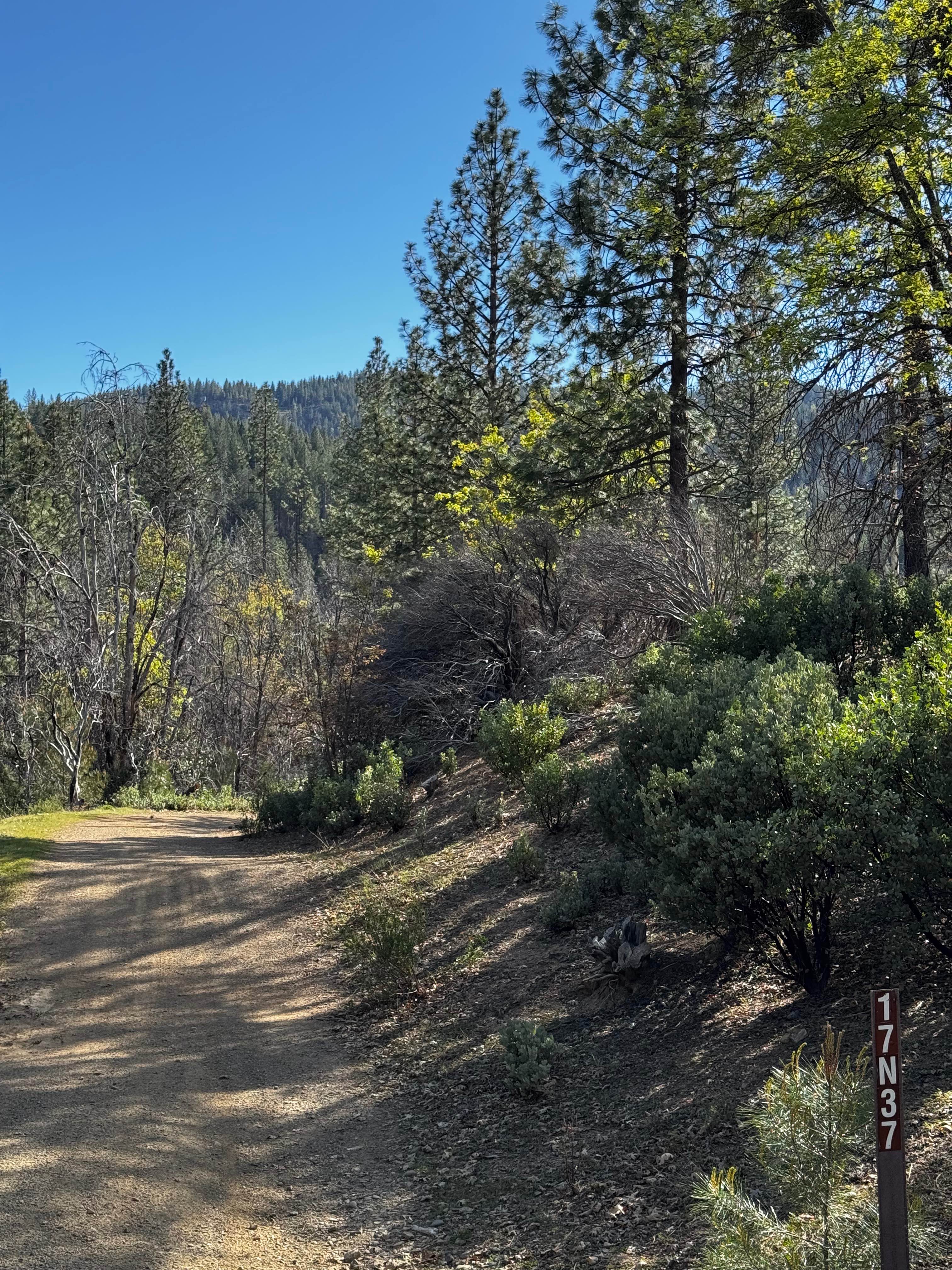 Little Round - FS 17N37