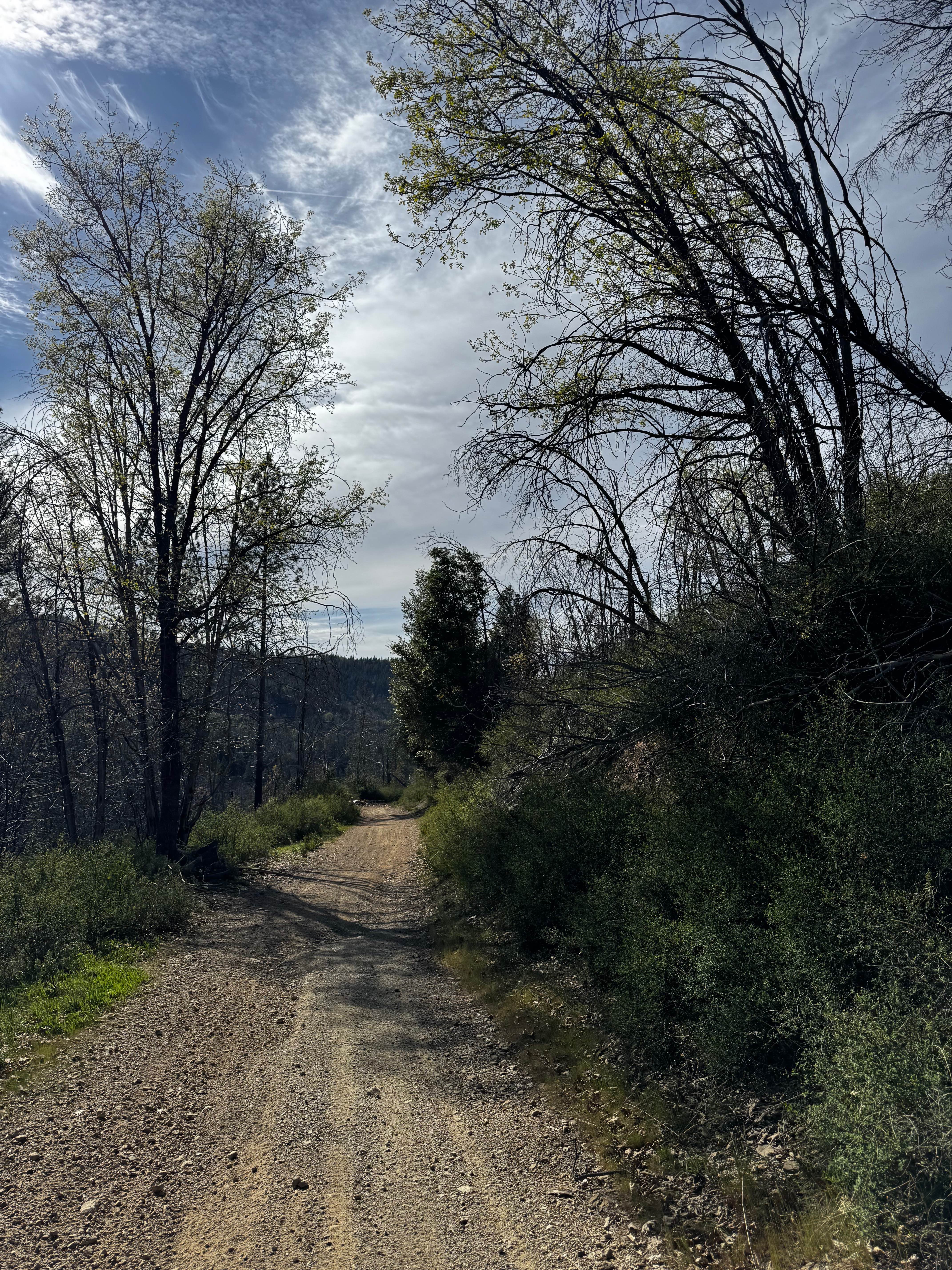 Little Round - FS 17N37