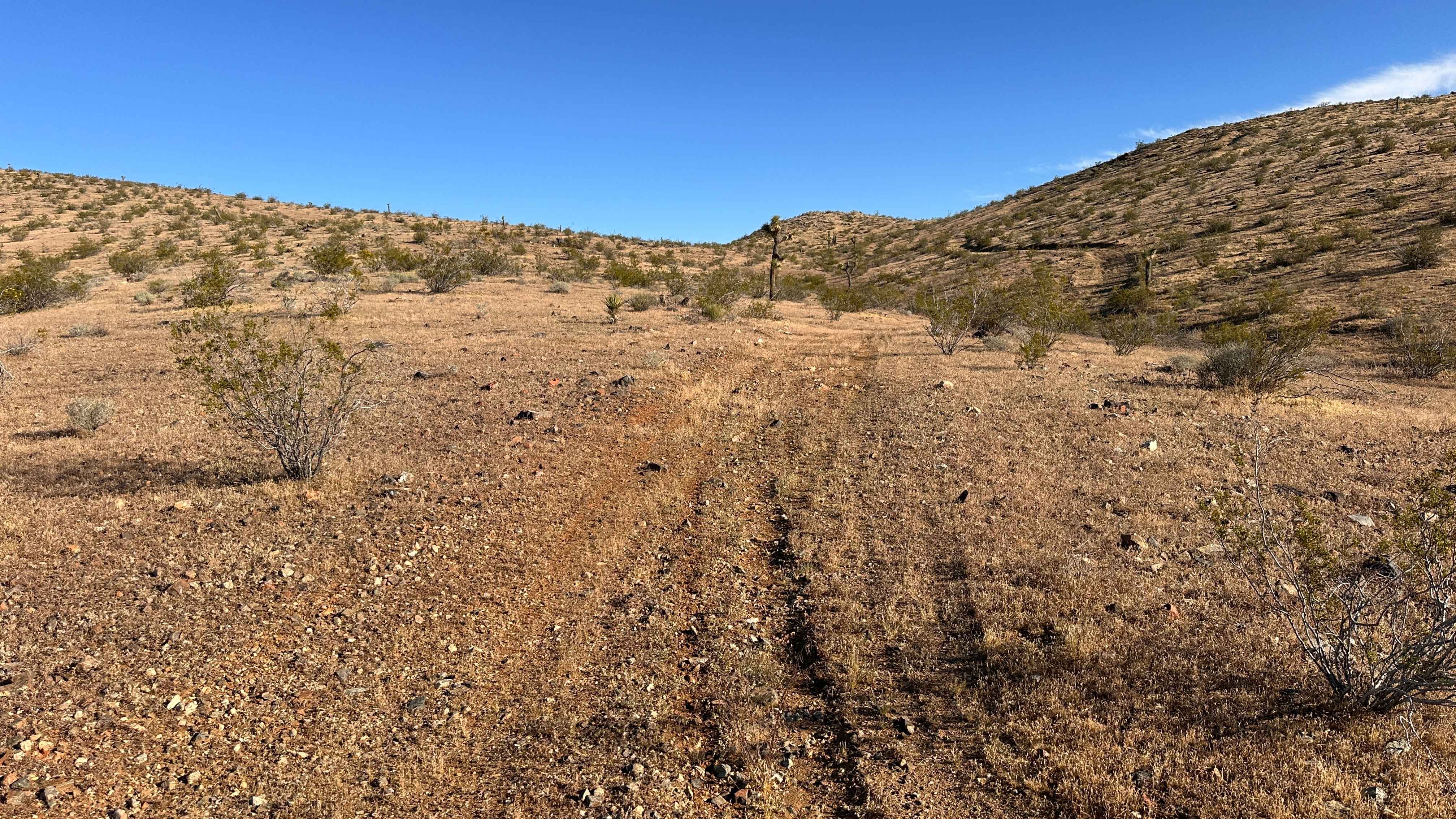 Dust Devil Trail