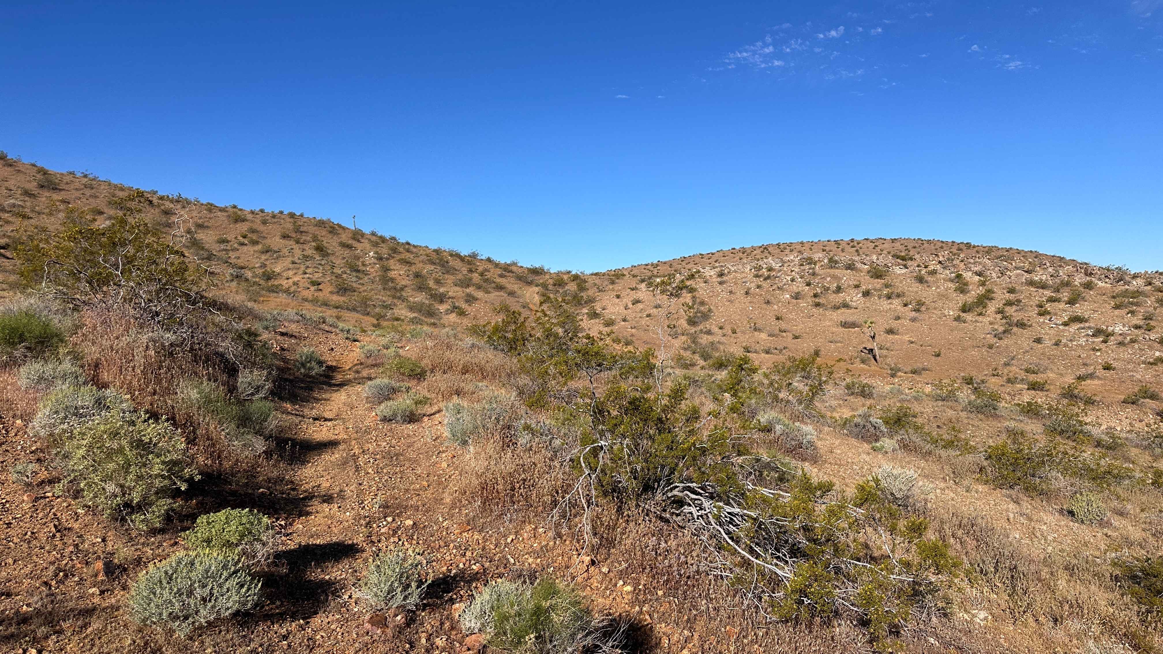Dry Wash Trail