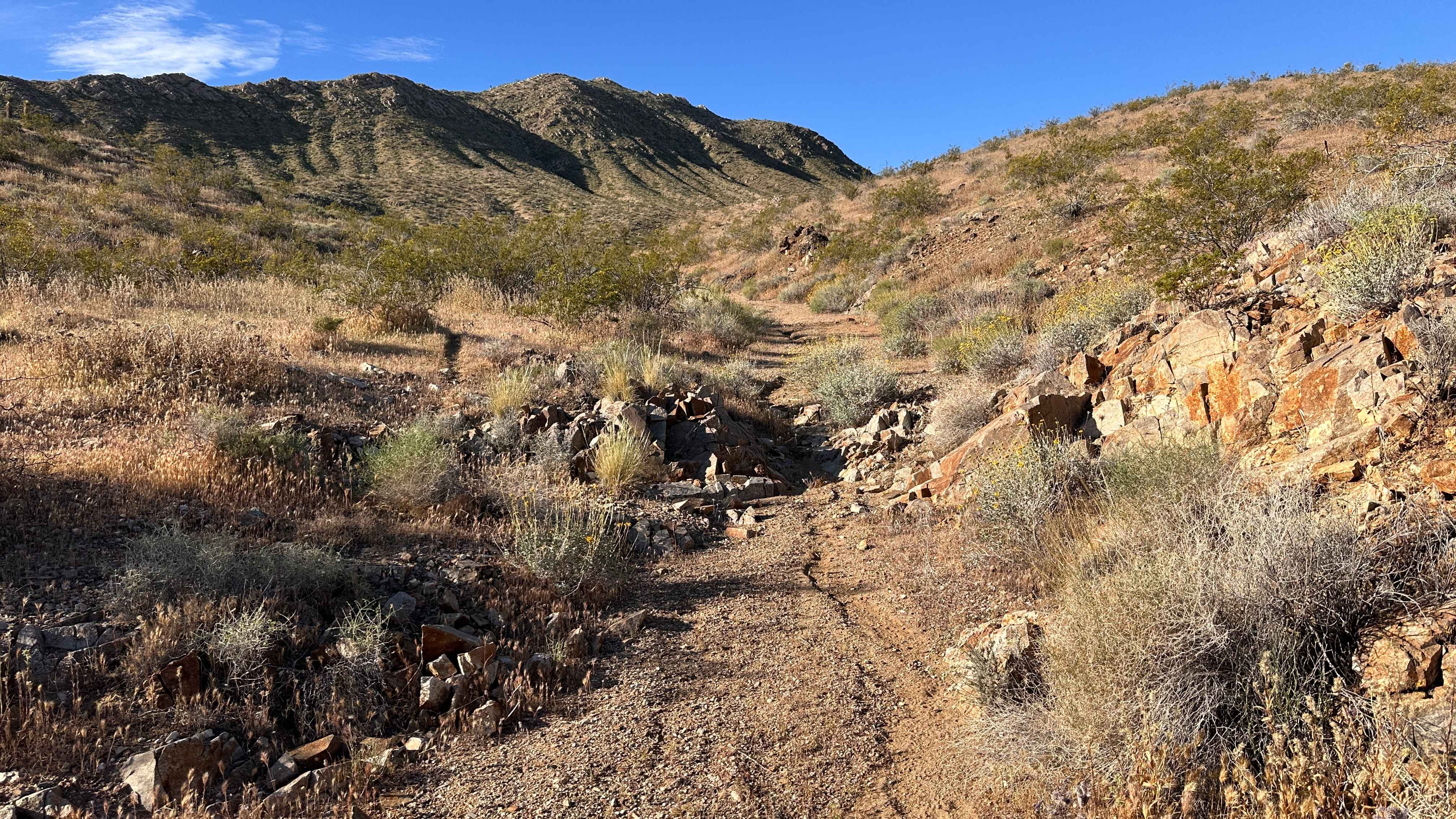 Dry Wash Trail