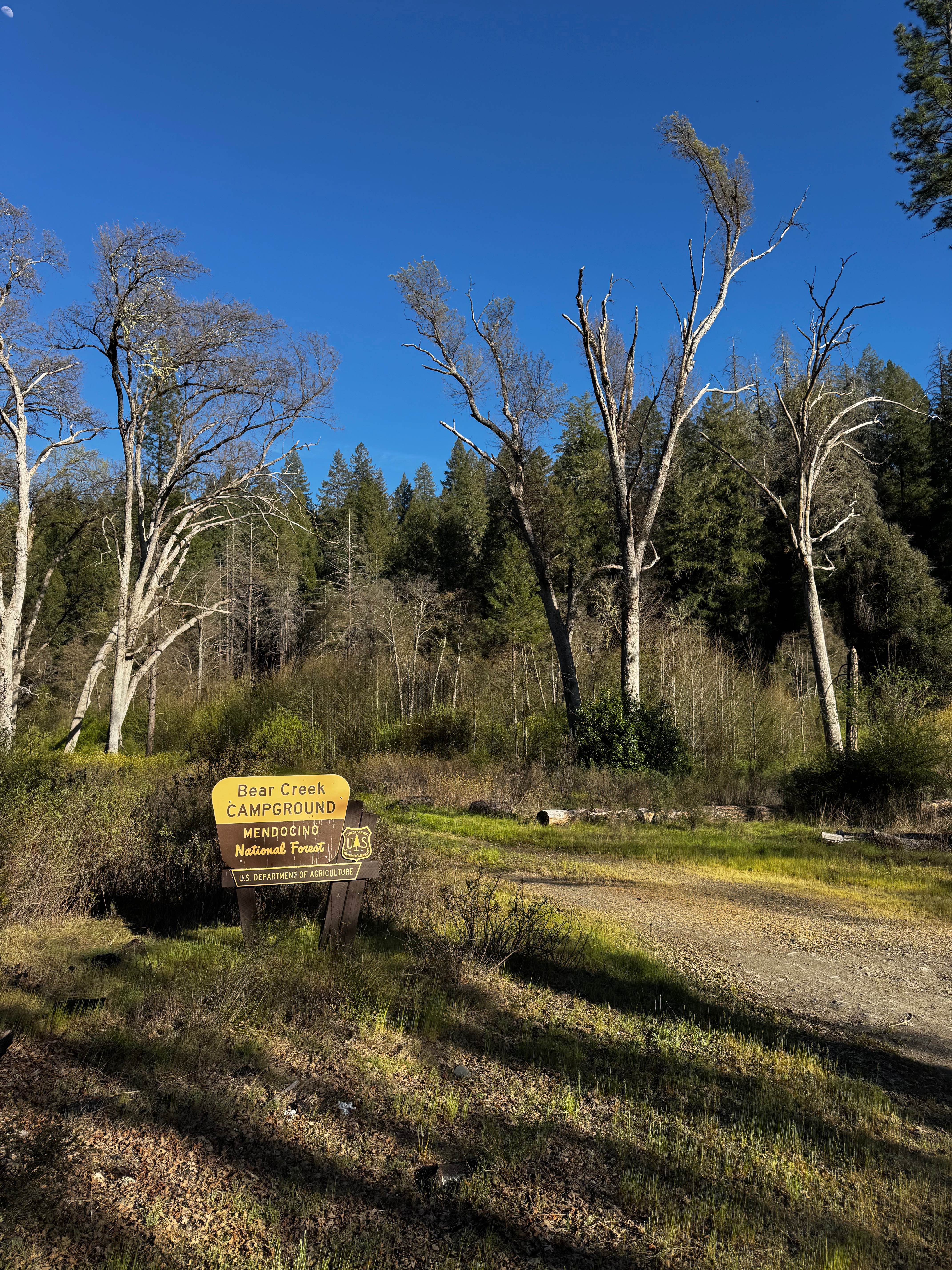 Potato Hill - FS 17N33