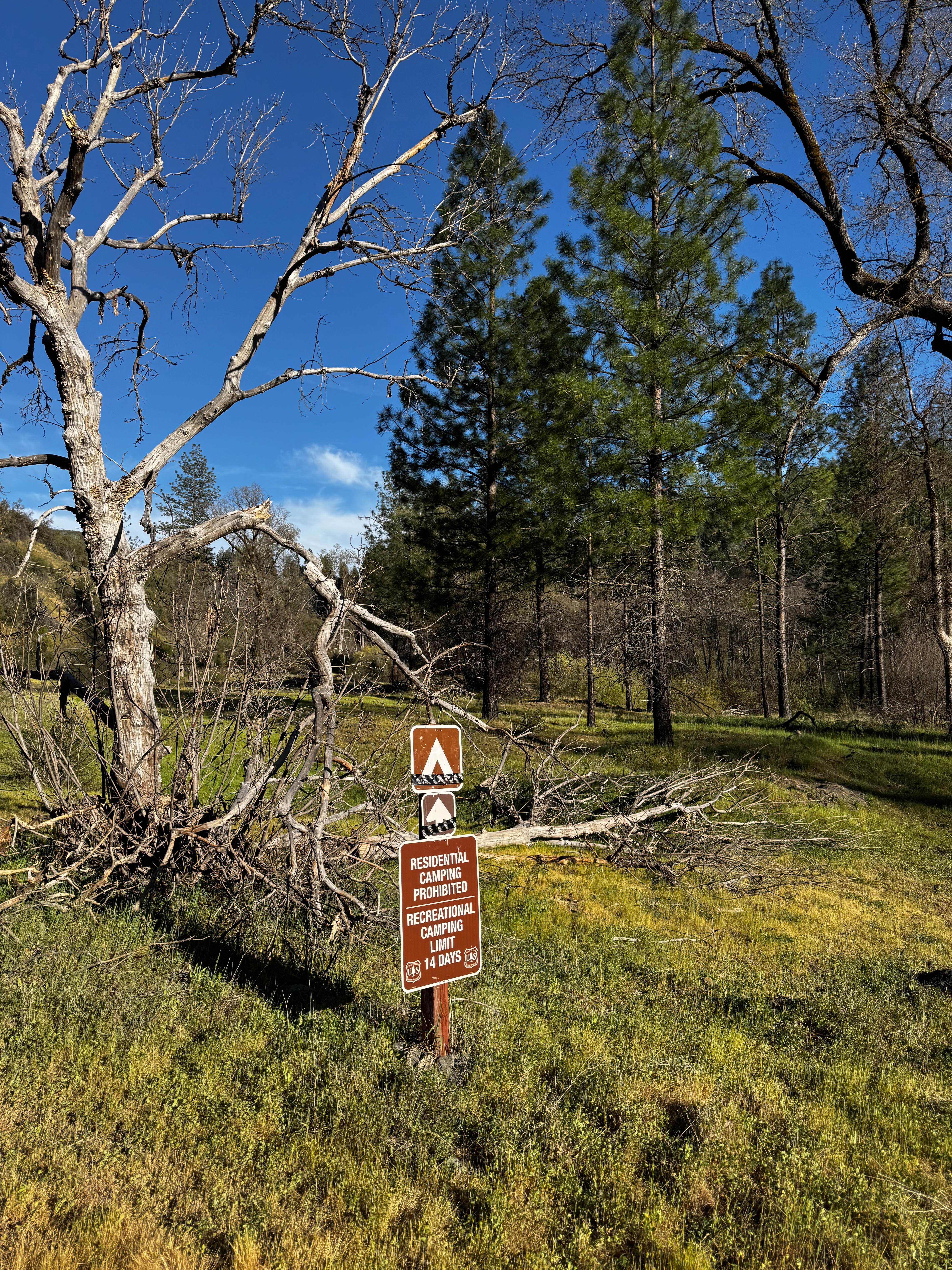 Potato Hill - FS 17N33