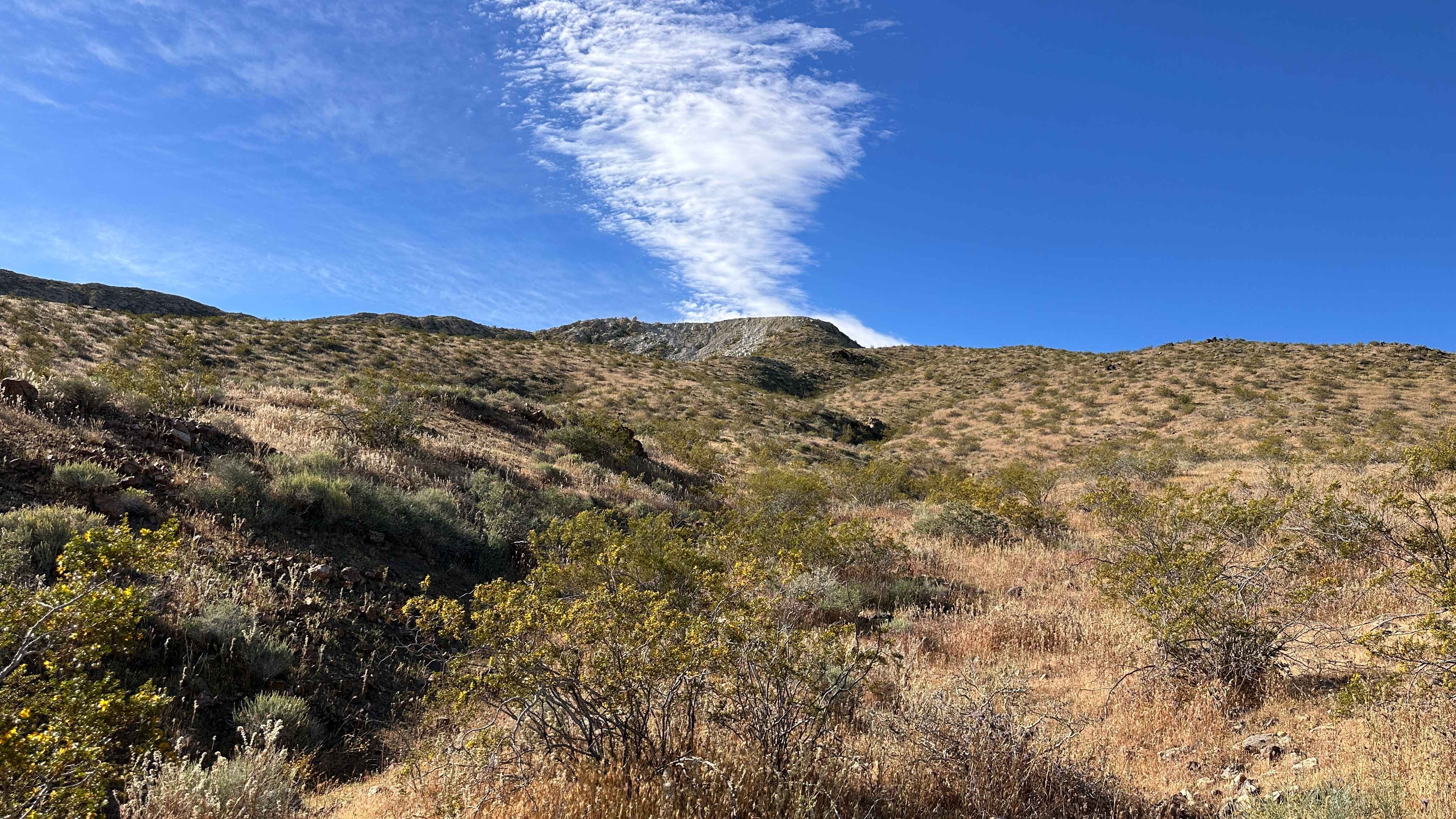 Broken Spur Offshoot